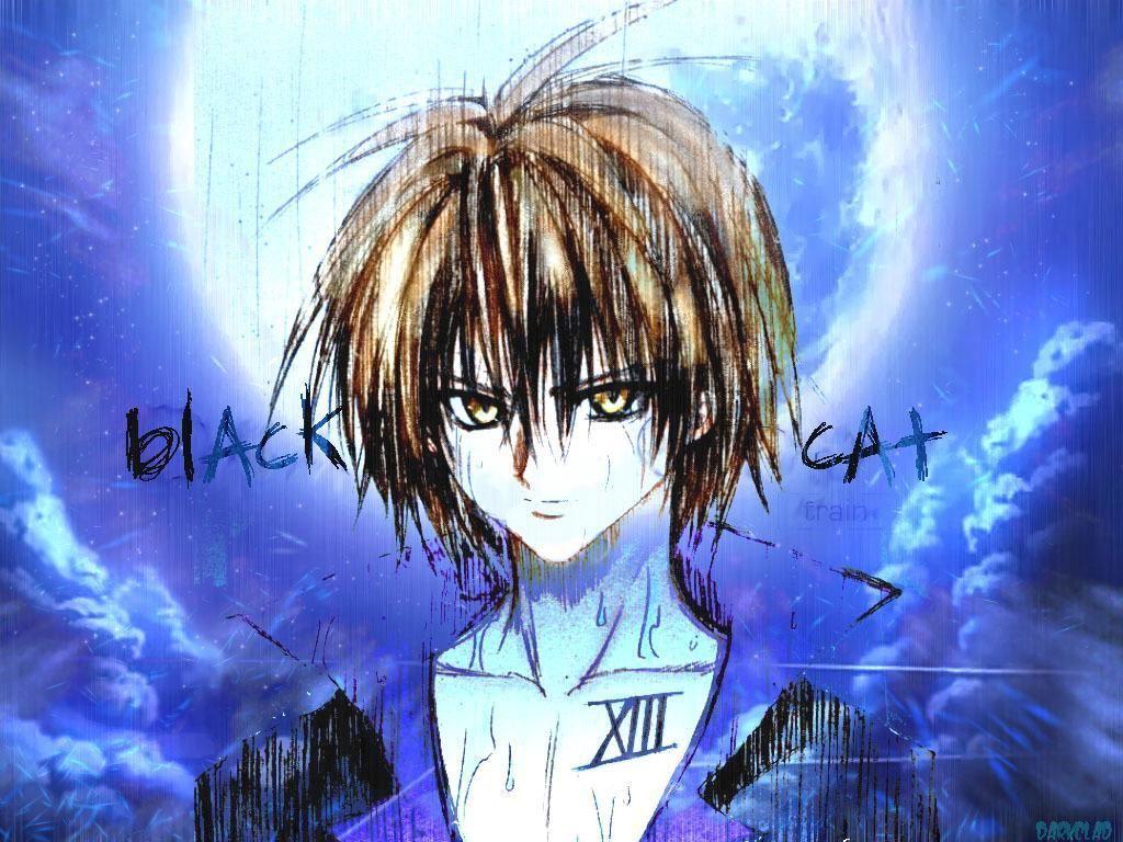 1024x768 Train Heartnet Cat (Series)