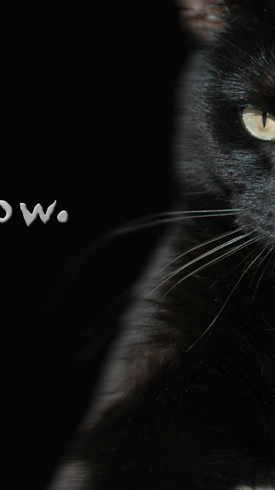 Aesthetic Black Cat Wallpapers - Top Free Aesthetic Black Cat