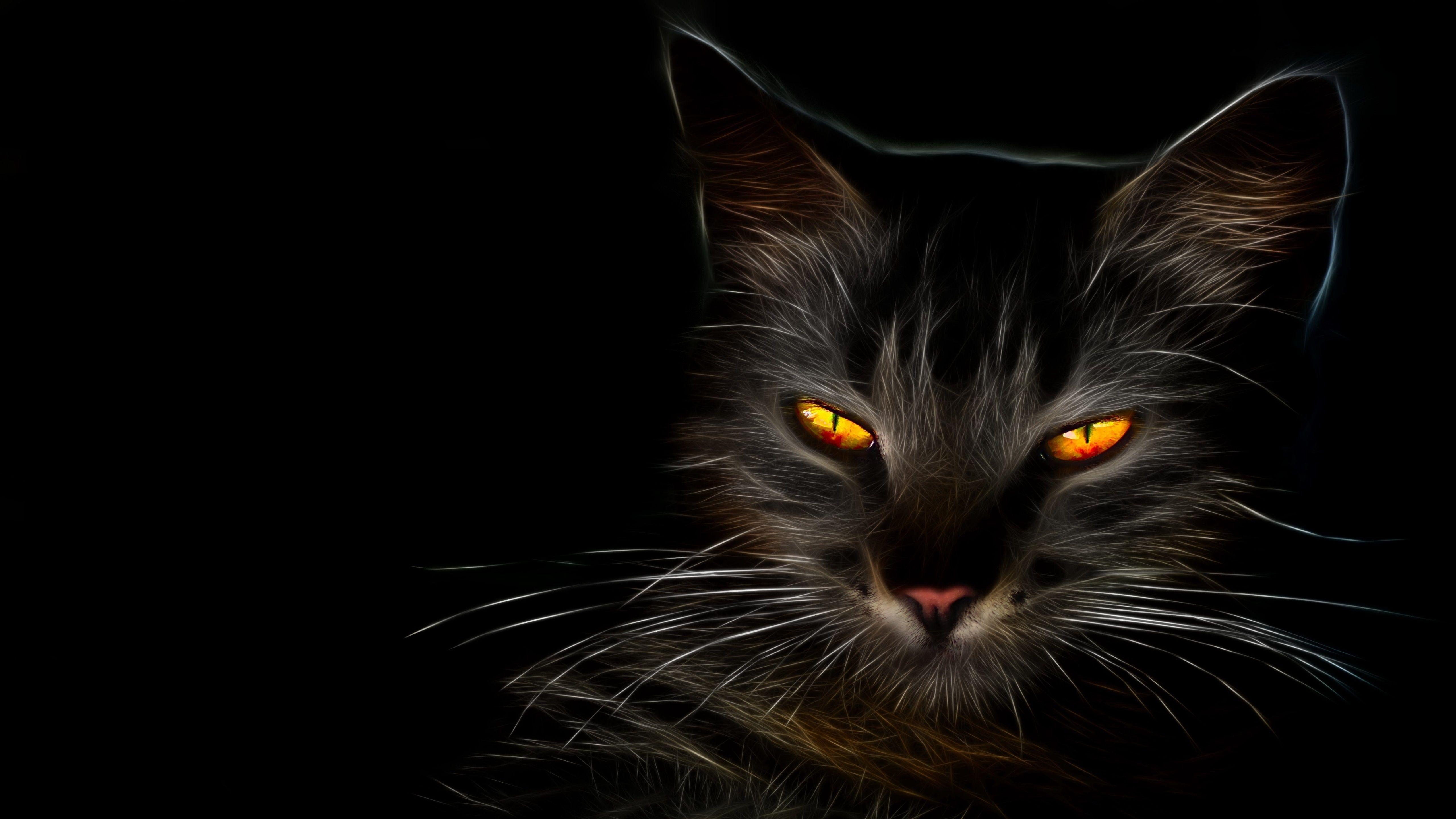 5120x2880 Black Cat with Amber Eyes 5k Retina Ultra HD Wallpaper
