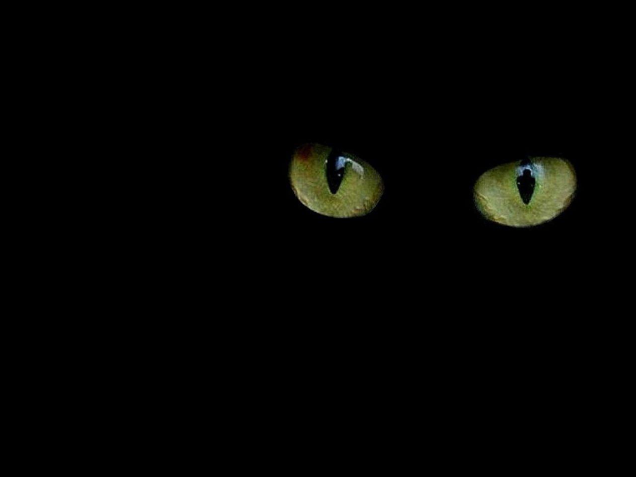 1280x960 Cat's Eye