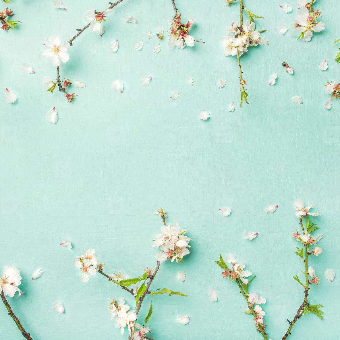 1184x1184 floral backround.
