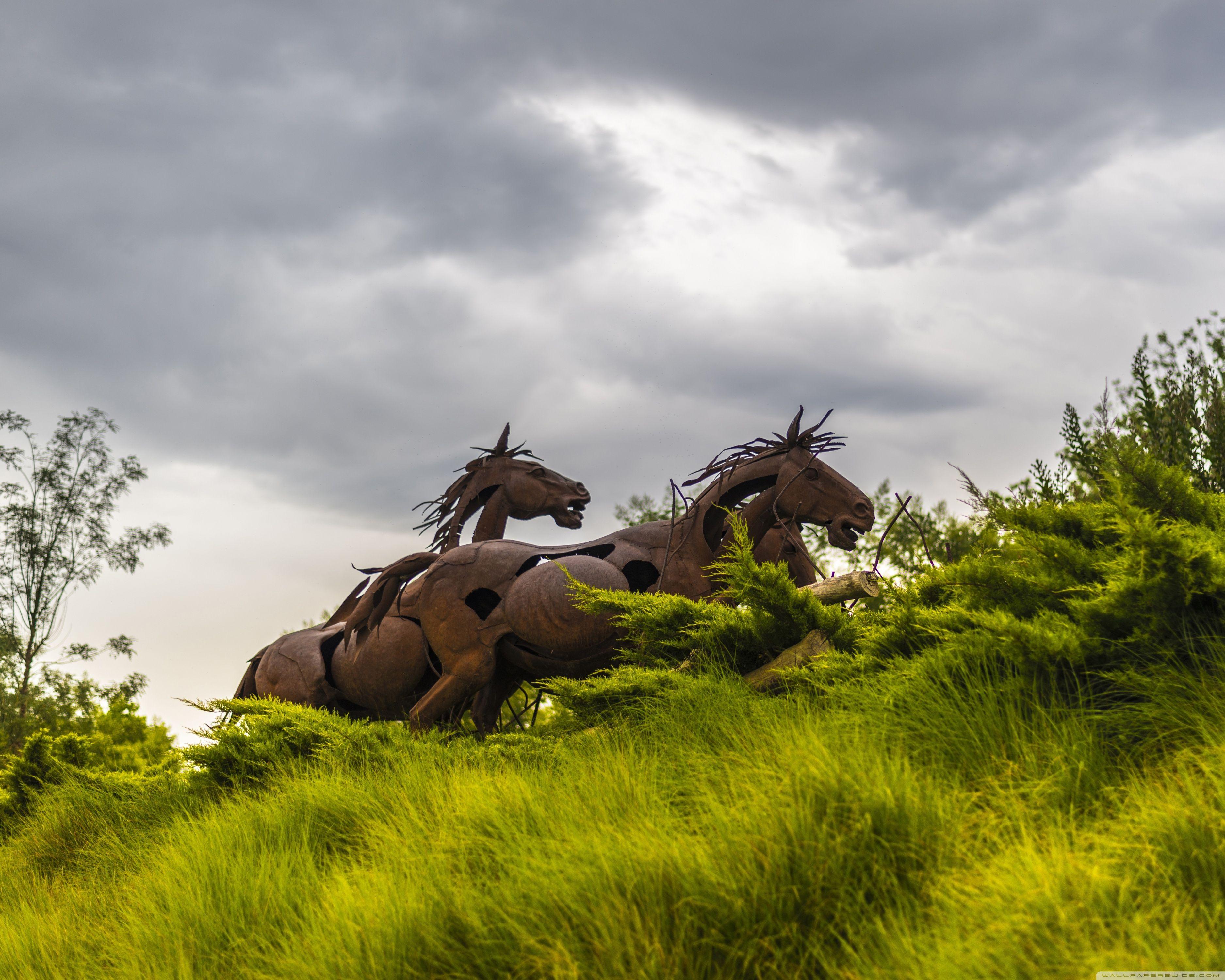 3750x3000 Running Wild Horses Ultra HD Desktop Background Wallpaper for 4K