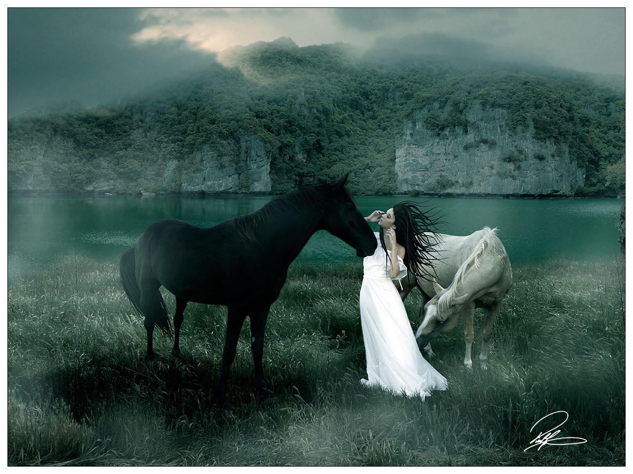 1280x960 Free download running wallpaper beautiful black wild horses