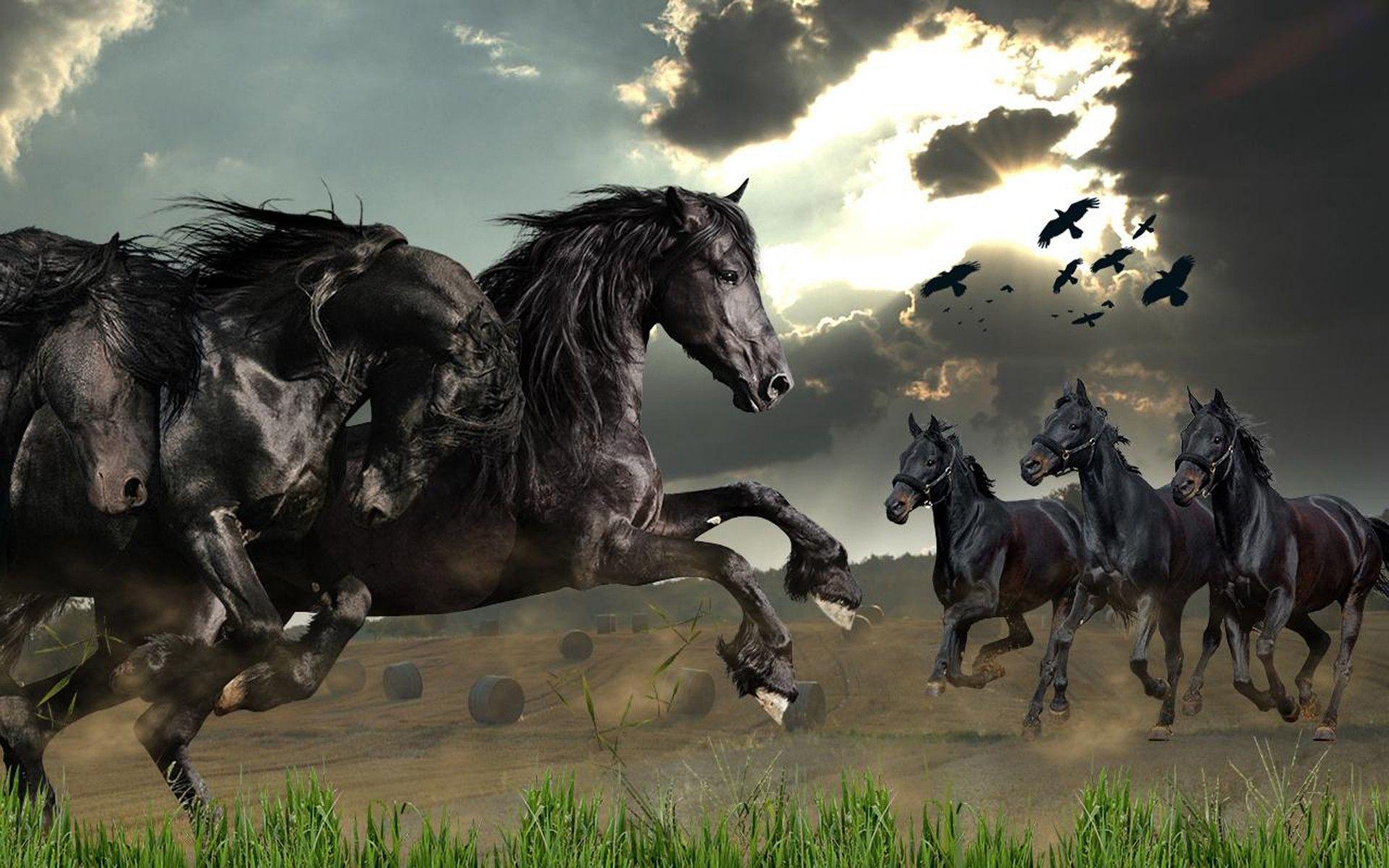 1920x1200 Wild Horses Live Wallpaper Screenshot 3840x2400 :