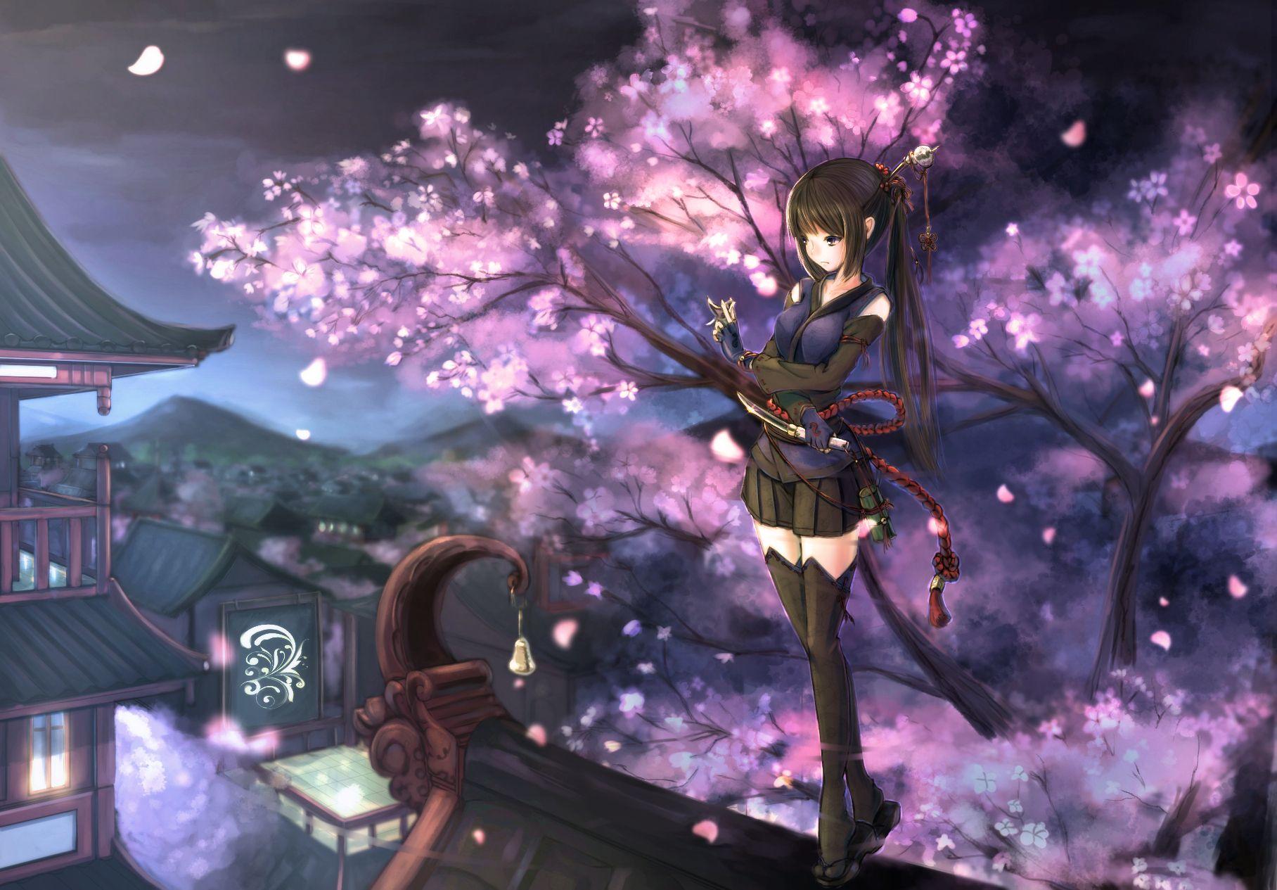 1816x1265 Konachan.com black_hair building cherry_blossoms gloves