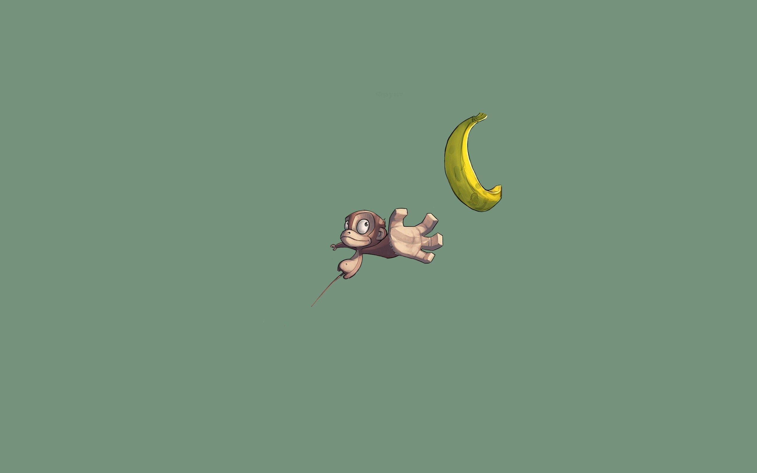 2560x1600 Monkey HD Background. HD Wallpaper, 3D