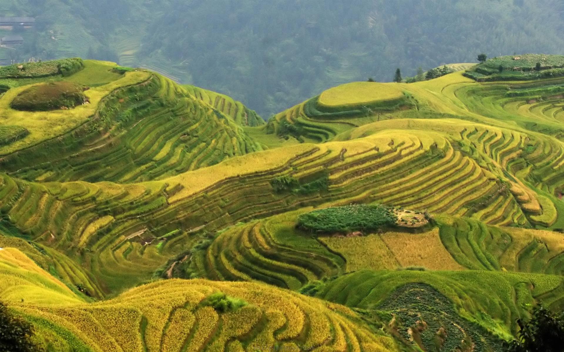 1920x1200 china landscape zoeken. Ewout Bergsma Asian Landscape