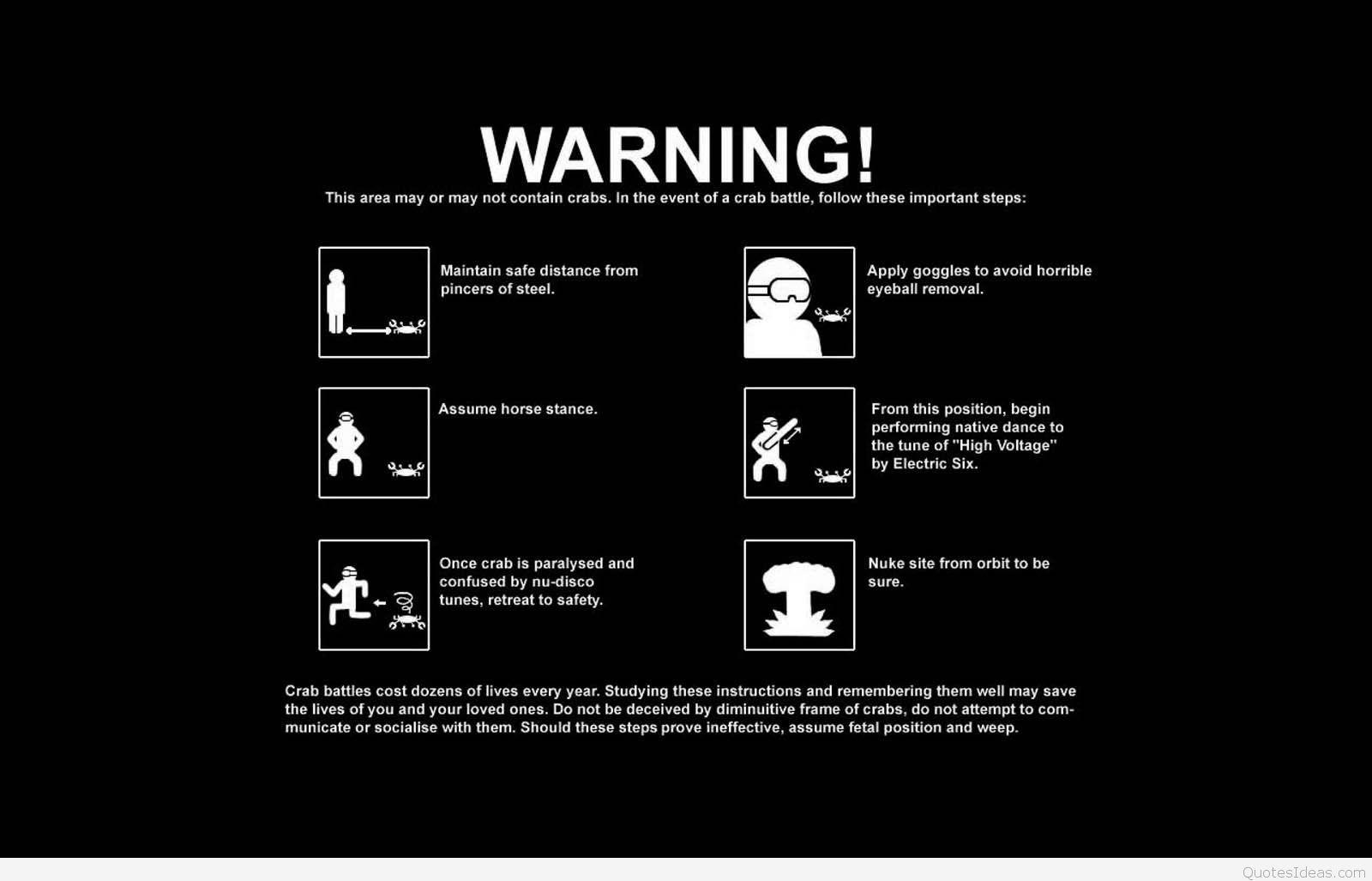 1600x1027 Funny Desktop Wallpaper Picture