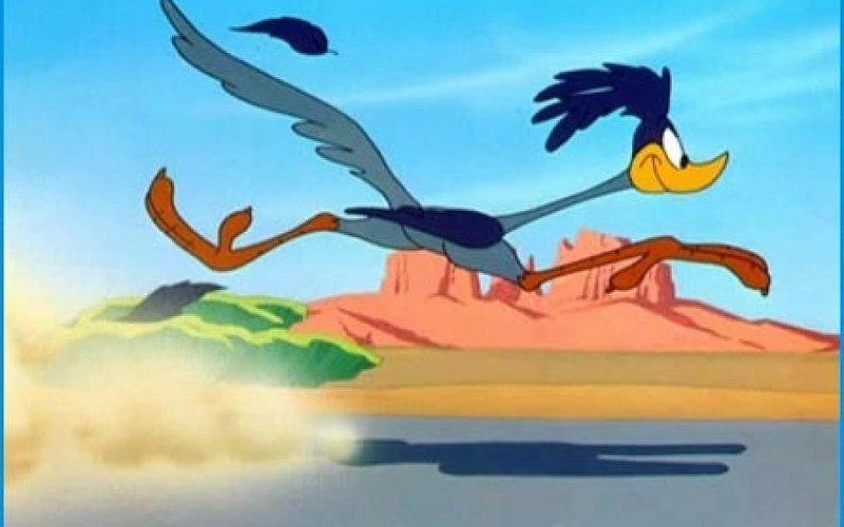 1680x1050 Road Runner Wallpaper