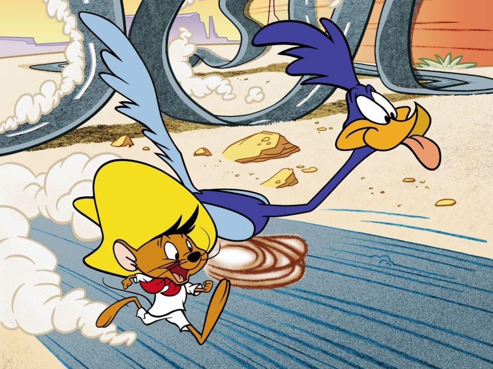 1920x1440 Coyote And The Road Runner Wallpaper Tunes Road Runner