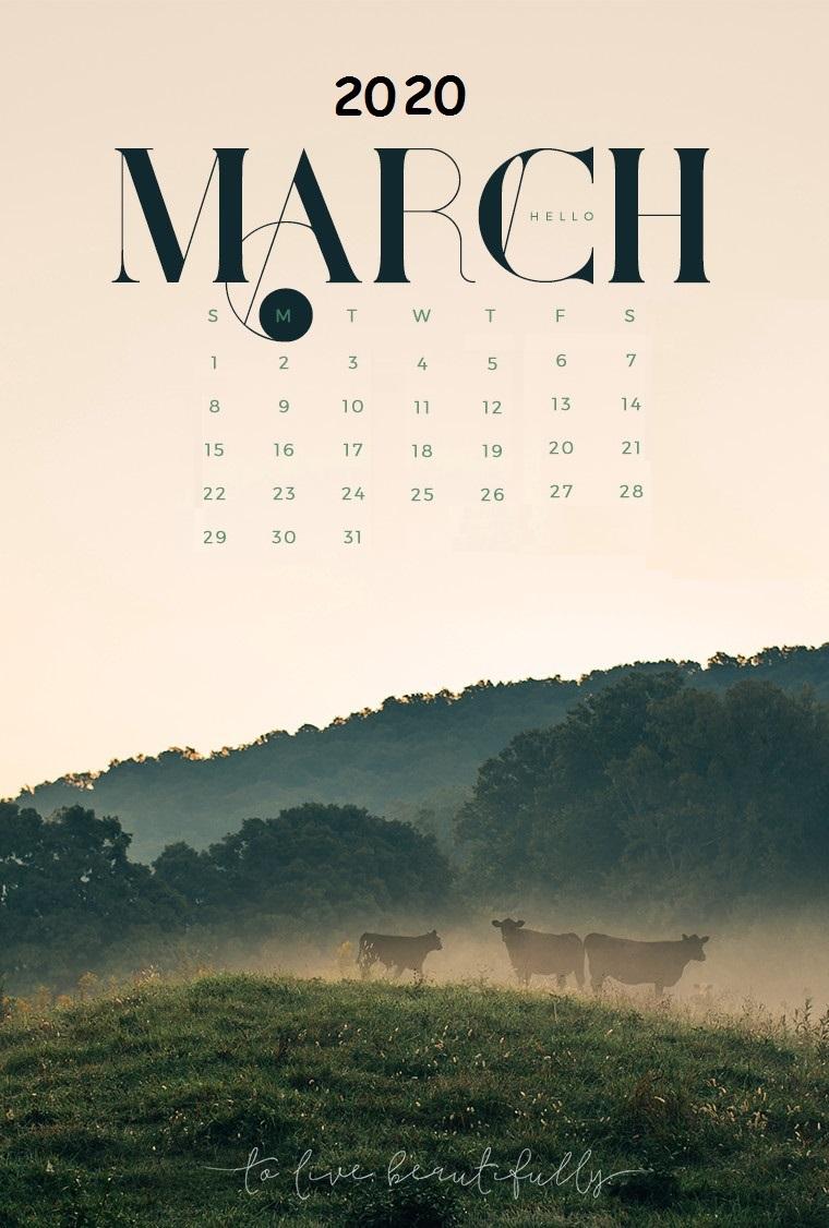 760x1126 iPhone March 2020 Wallpaper Calendar