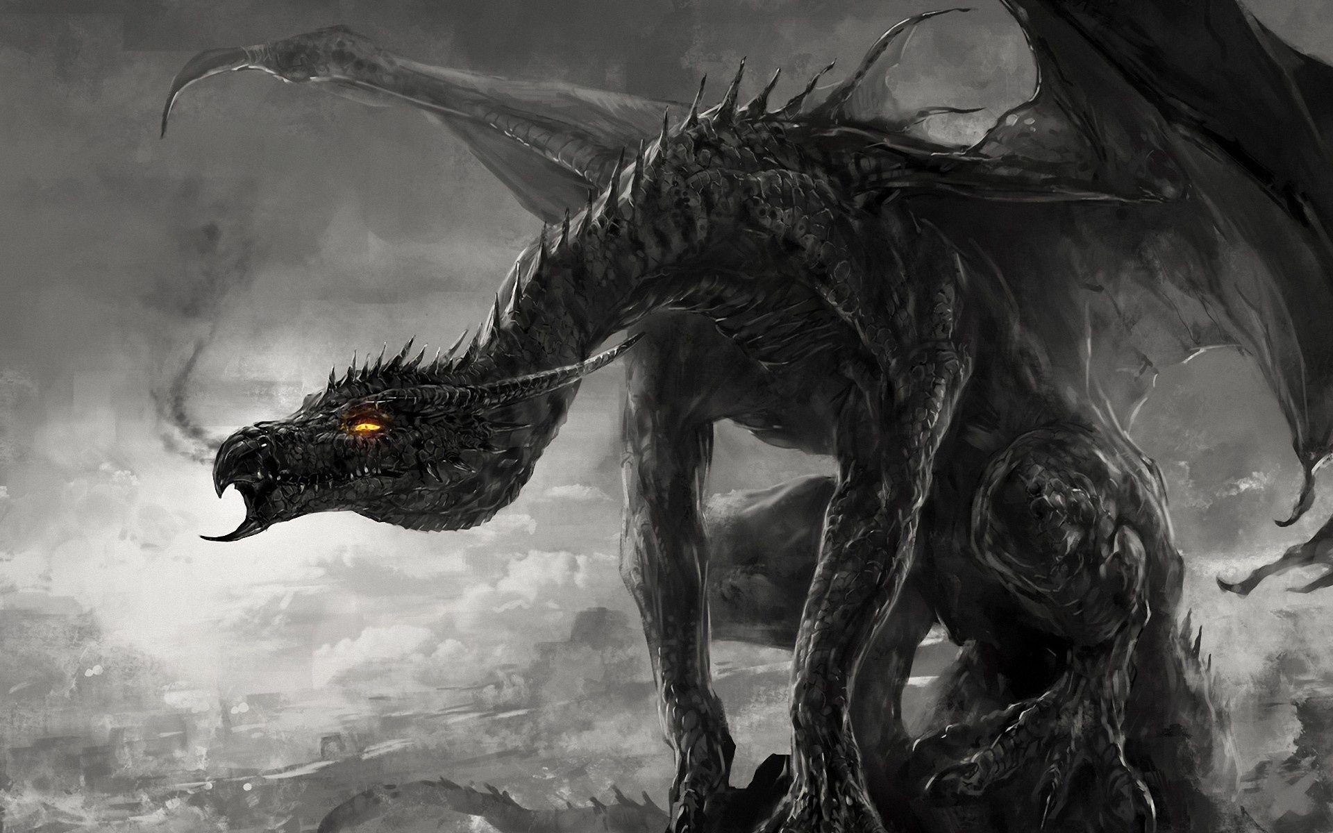 Black and White Dragon Wallpapers - Top Free Black and White Dragon ...