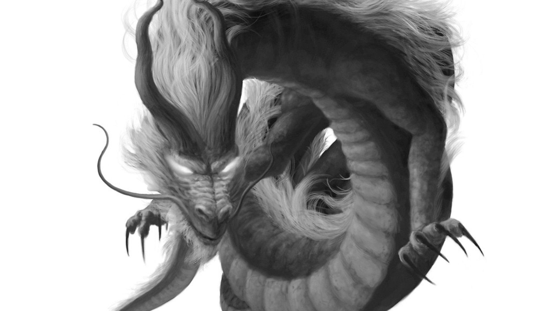 White Dragon Wallpapers Top Free White Dragon Backgrounds