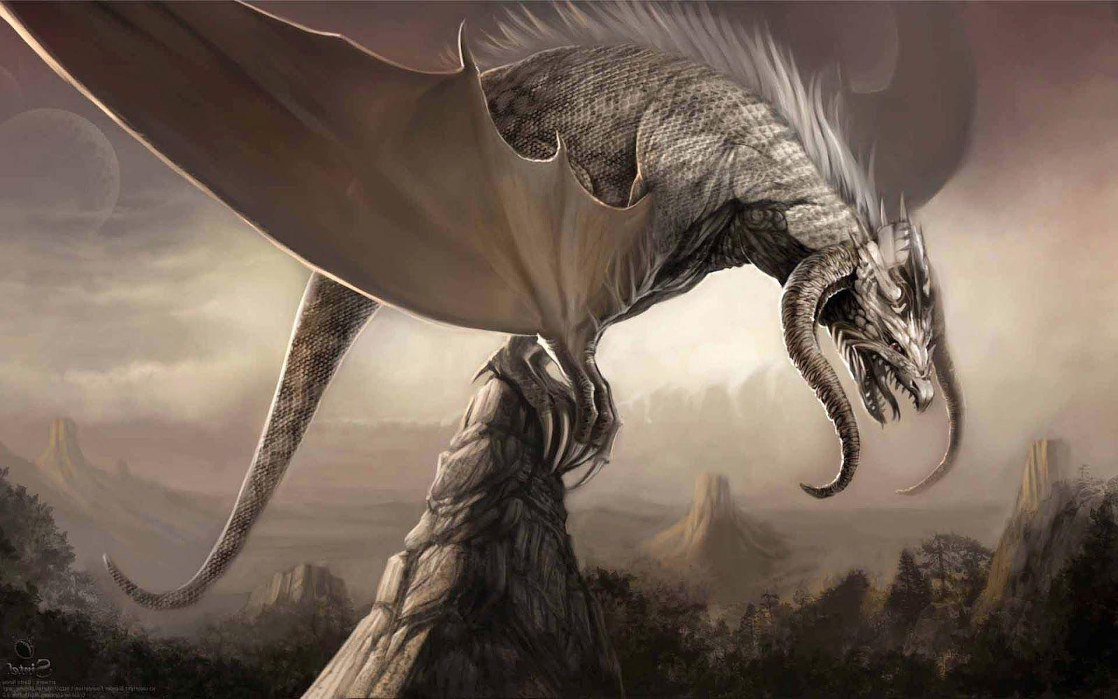 1600x1000 Fantasy White Dragon Wallpaper