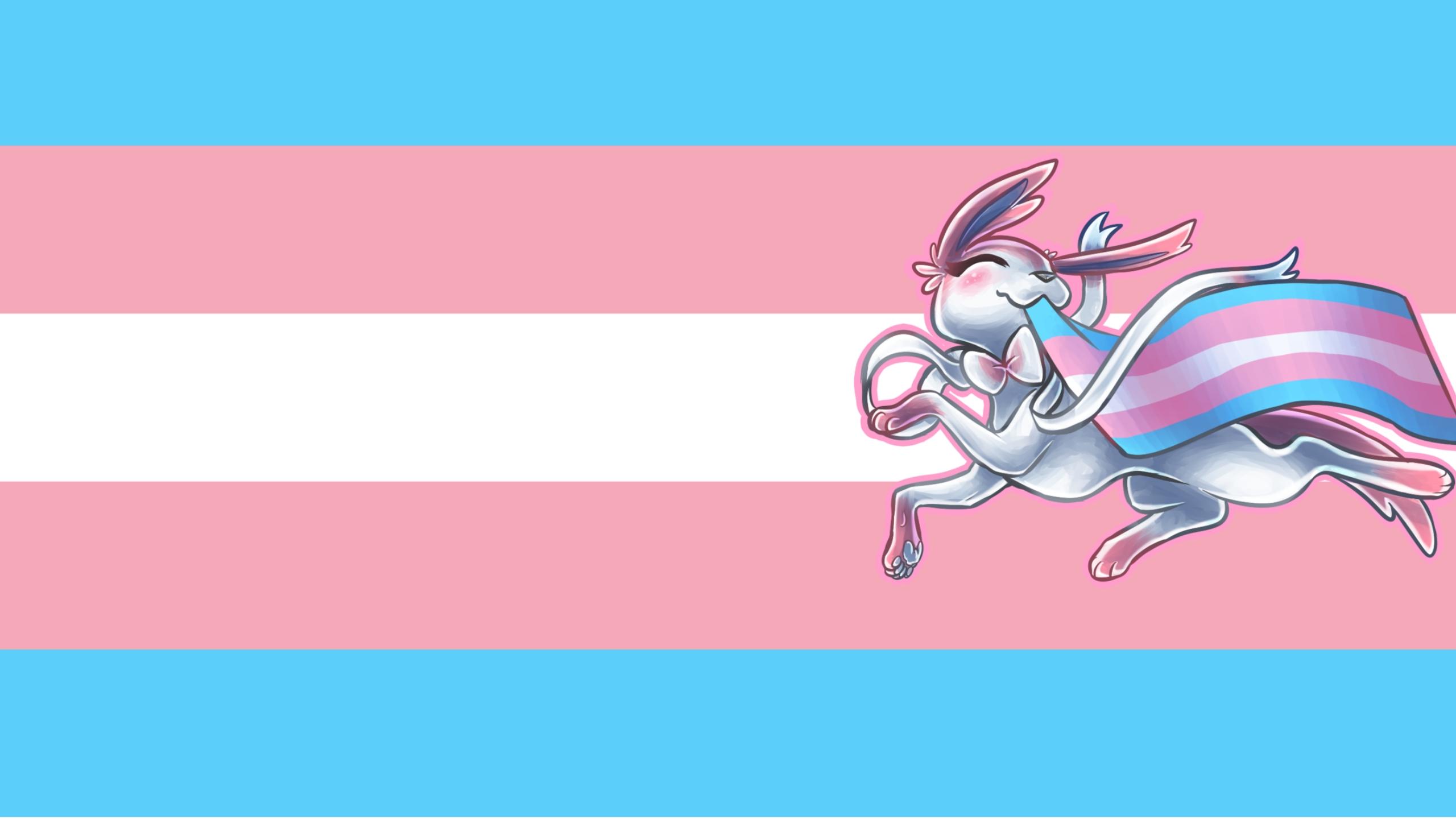 2560x1440 Transgender Pride Flag Wallpaper