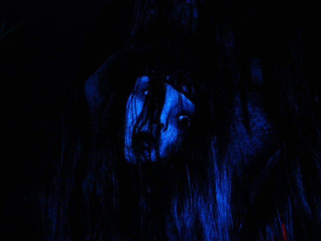 1024x768 The Grudge Wallpaper