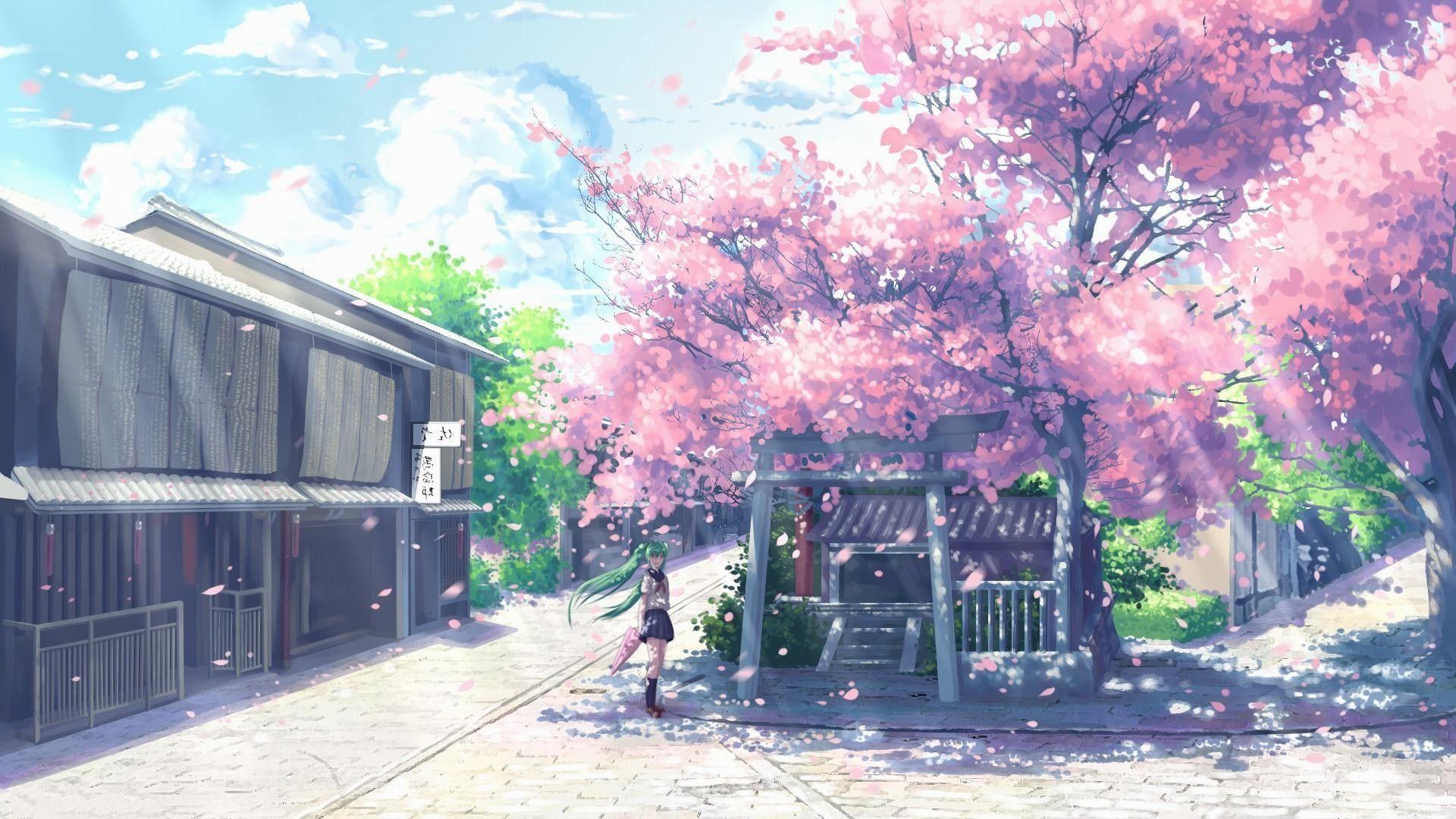 The school  Anime cherry blossom Anime scenery Sakura tree