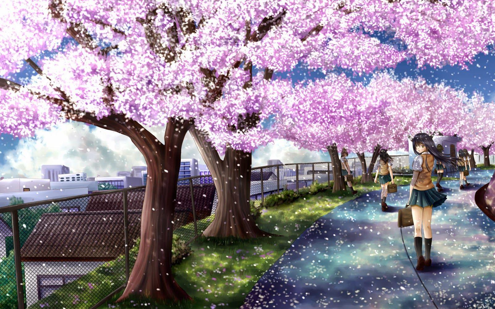 Anime Sakura Tree Wallpapers Top Free Anime Sakura Tree Backgrounds