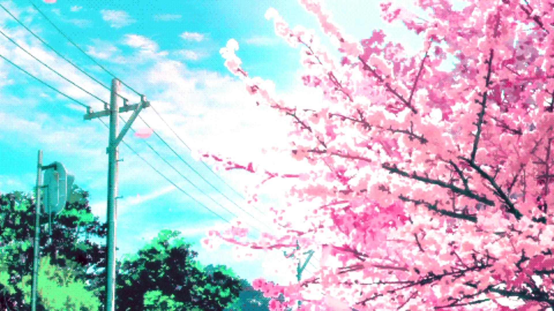 1920x1080 Anime, Hatsune Miku, Vocaloid, Cherry Blossom Wallpaper
