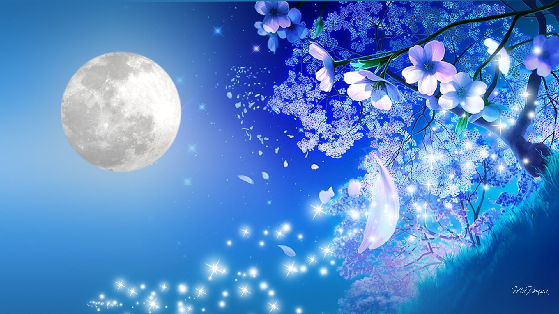 1920x1080 Cherry Blossom Wallpaper Night 671662 Night Cherry Blossom