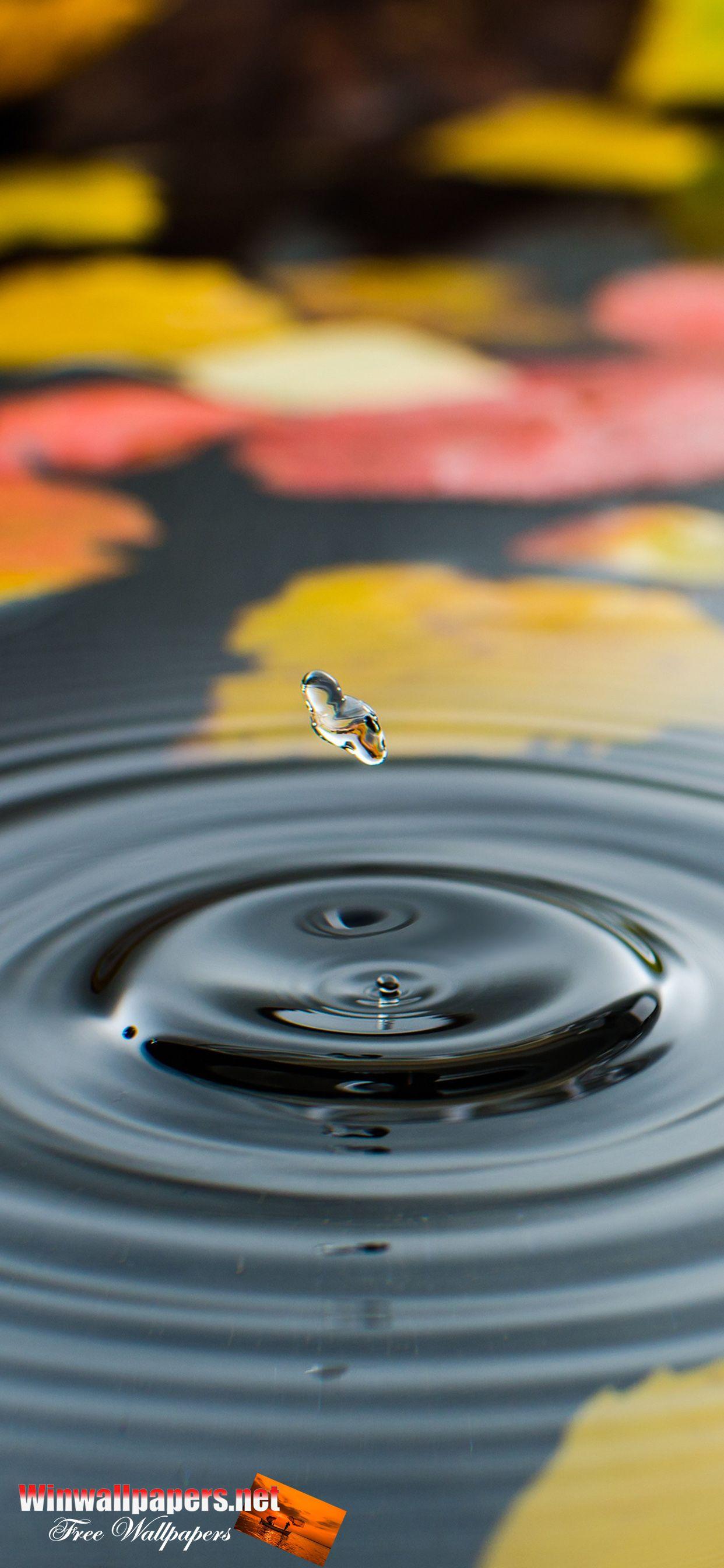 1242x2688 iPhone 11 Pro Max Wallpaper. HD Windows Wallpaper