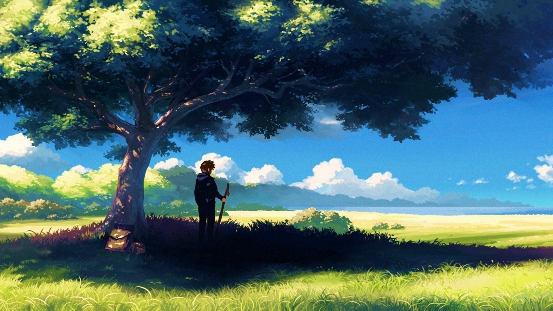 Anime Scenery Beautiful Nature Dreamworld Anime Aesthetic Anime Scenes Hd  Matte Finish Poster Paper Print  Animation  Cartoons posters in India   Buy art film design movie music nature and educational