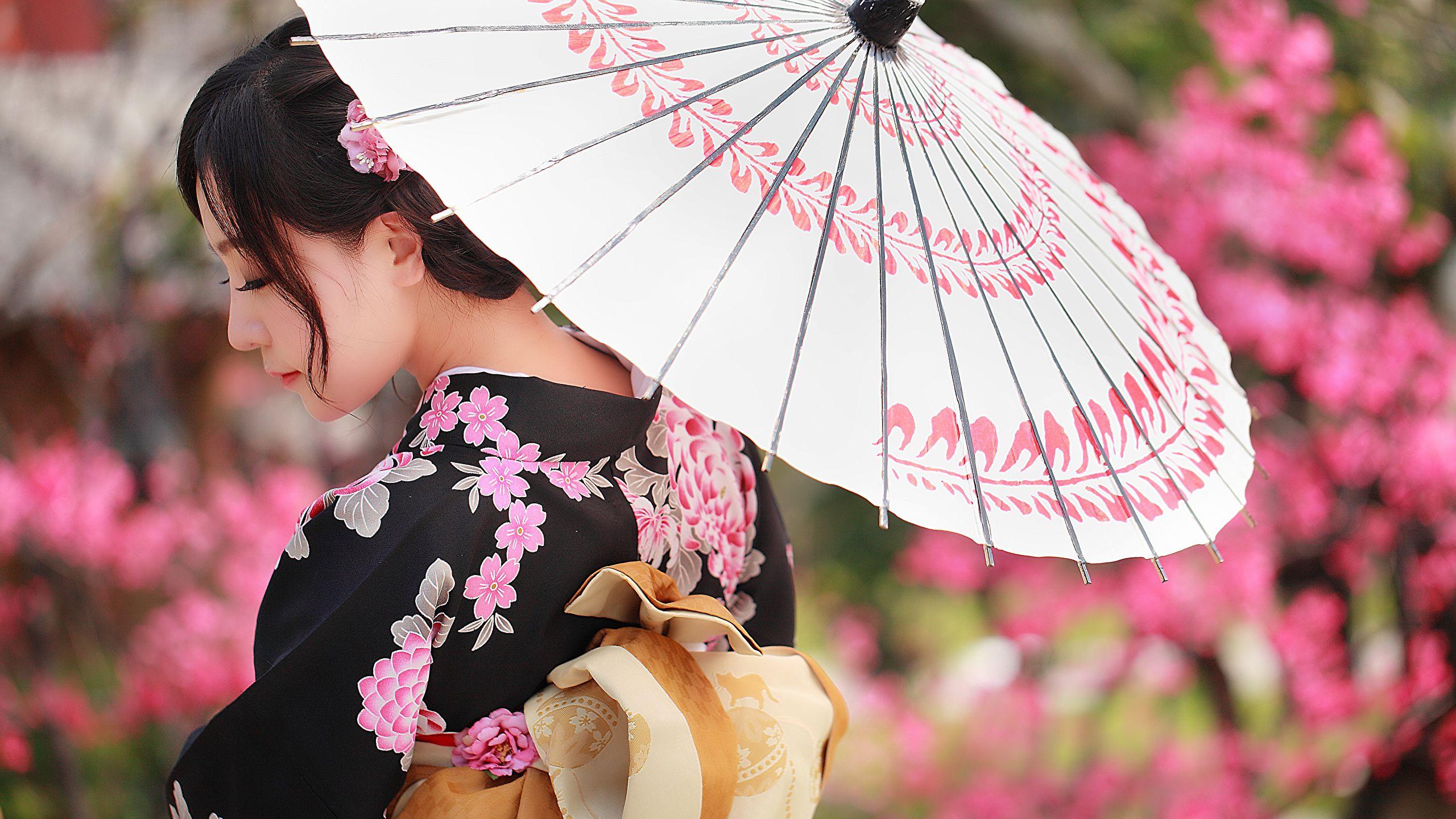 2560x1440 Desktop Wallpaper Kimono female Asiatic Umbrella 2560x1440