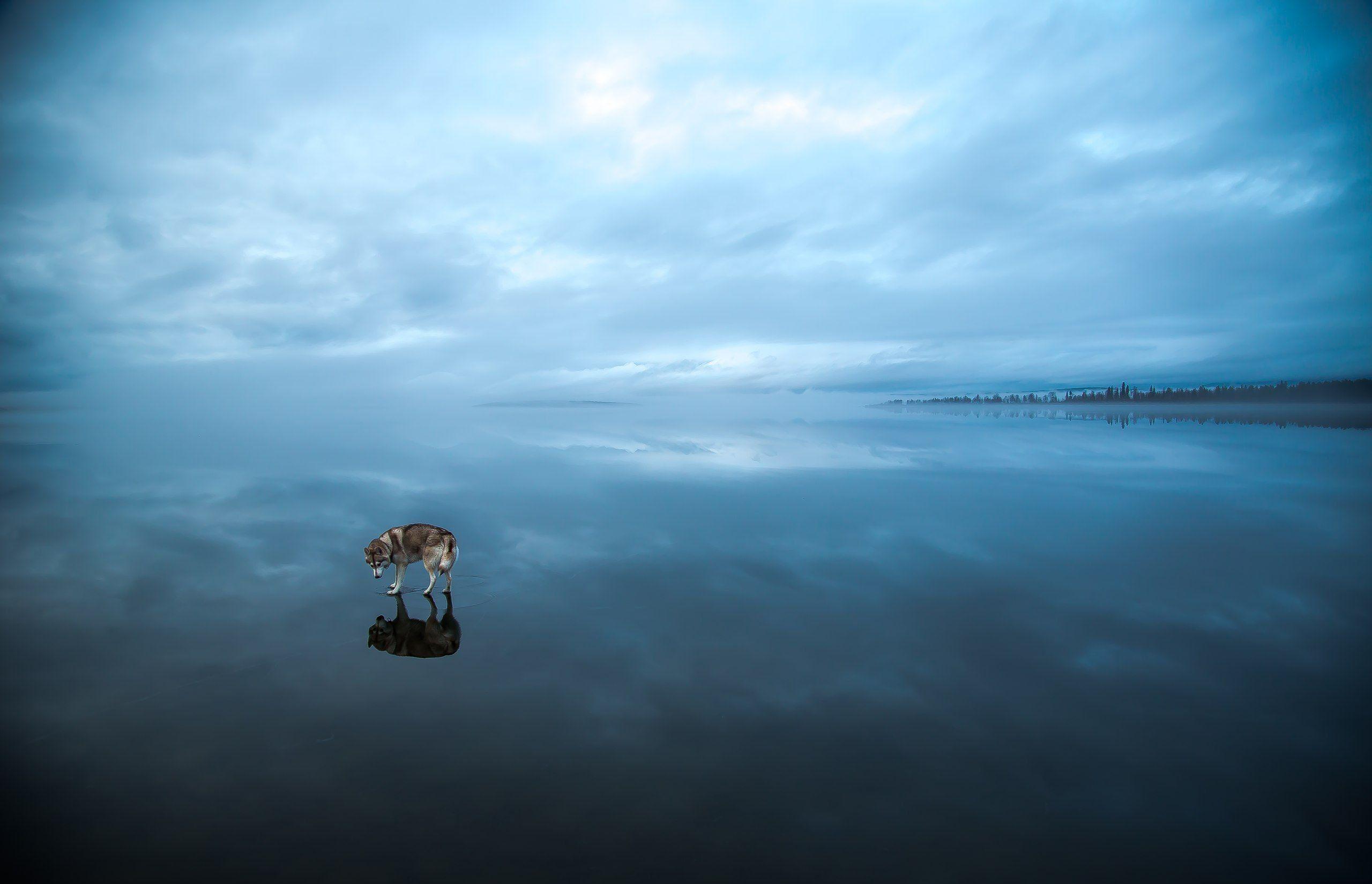 2560x1649 jesus 4K wallpaper for your desktop or mobile screen free