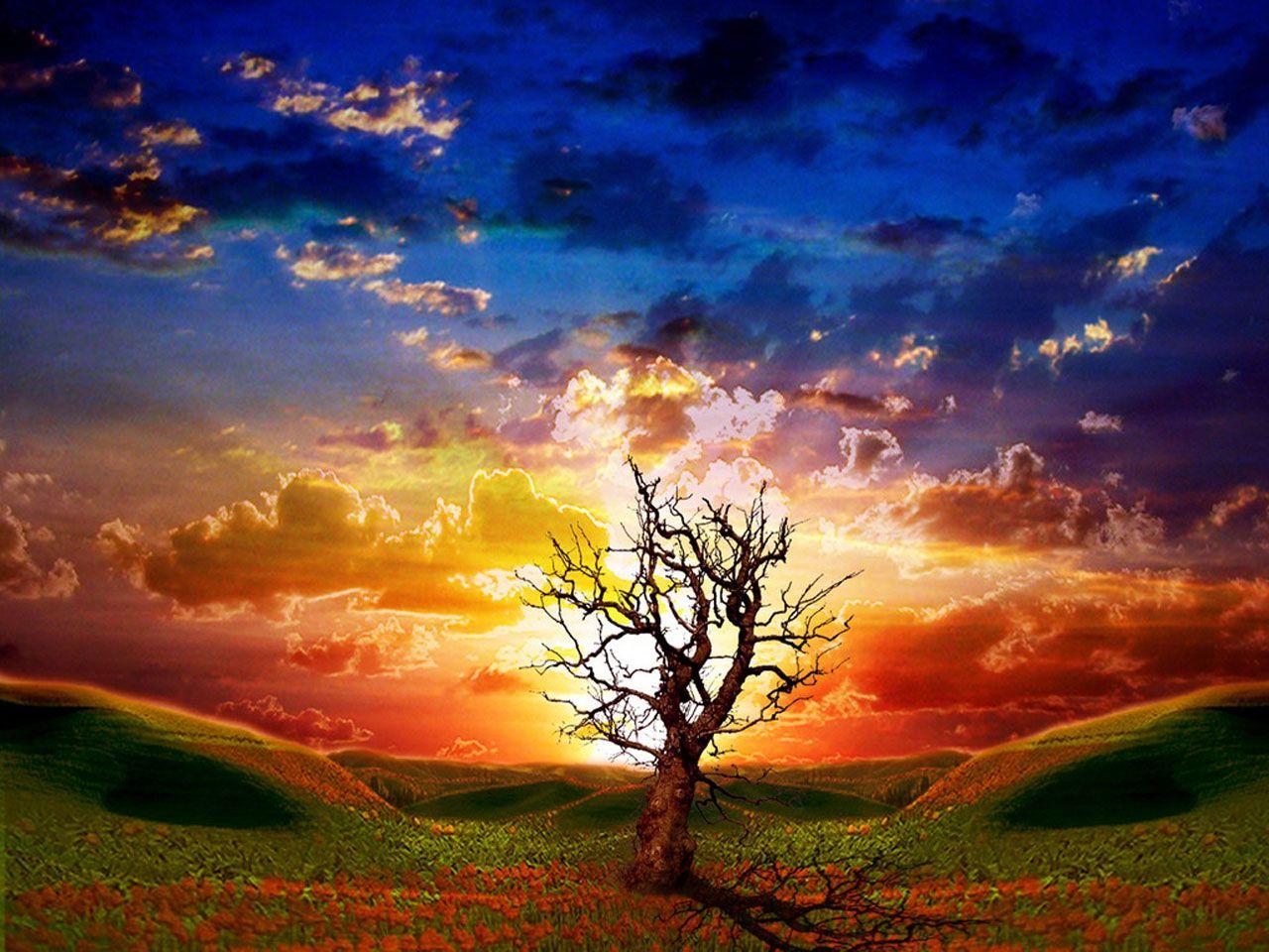 1280x960 Download Animated Moving Wallpaper For Desktop