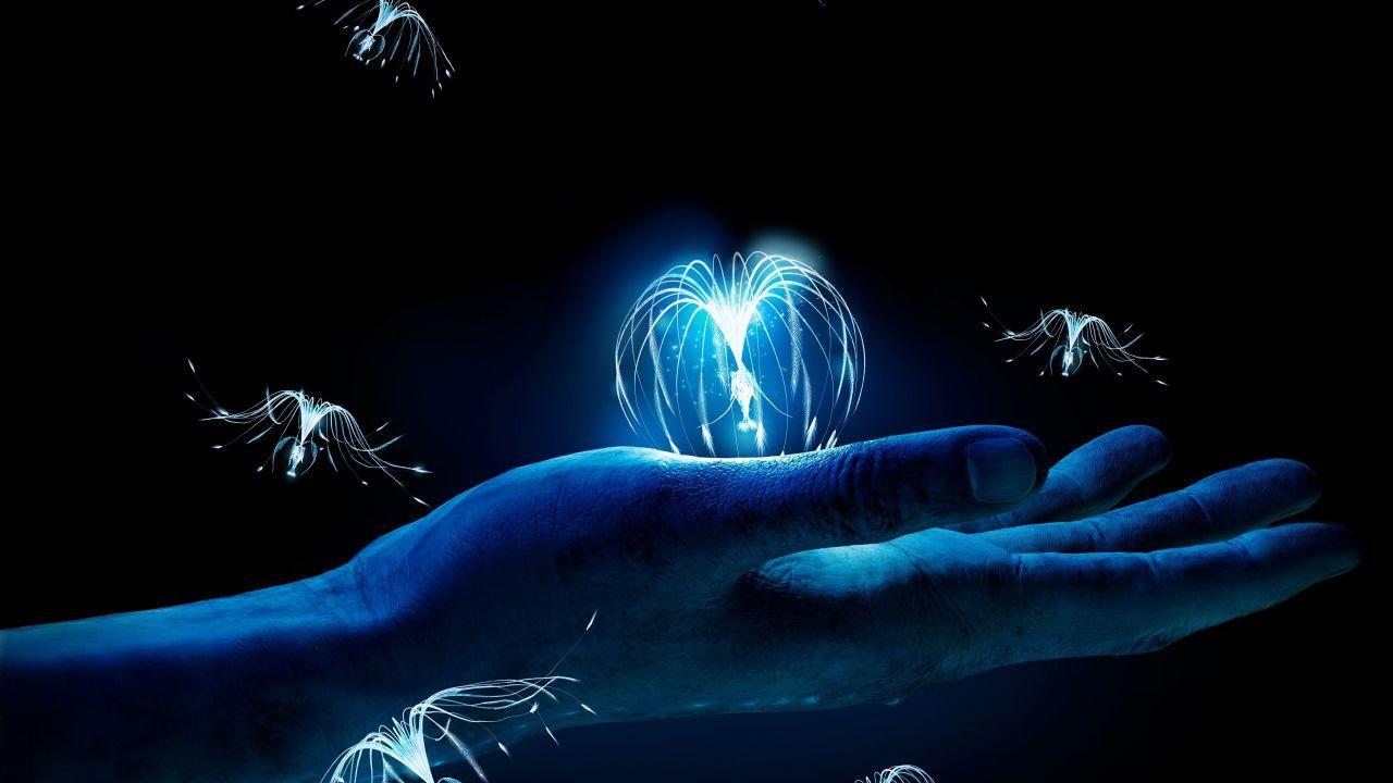 avatar 4k remux avatar 4k remux