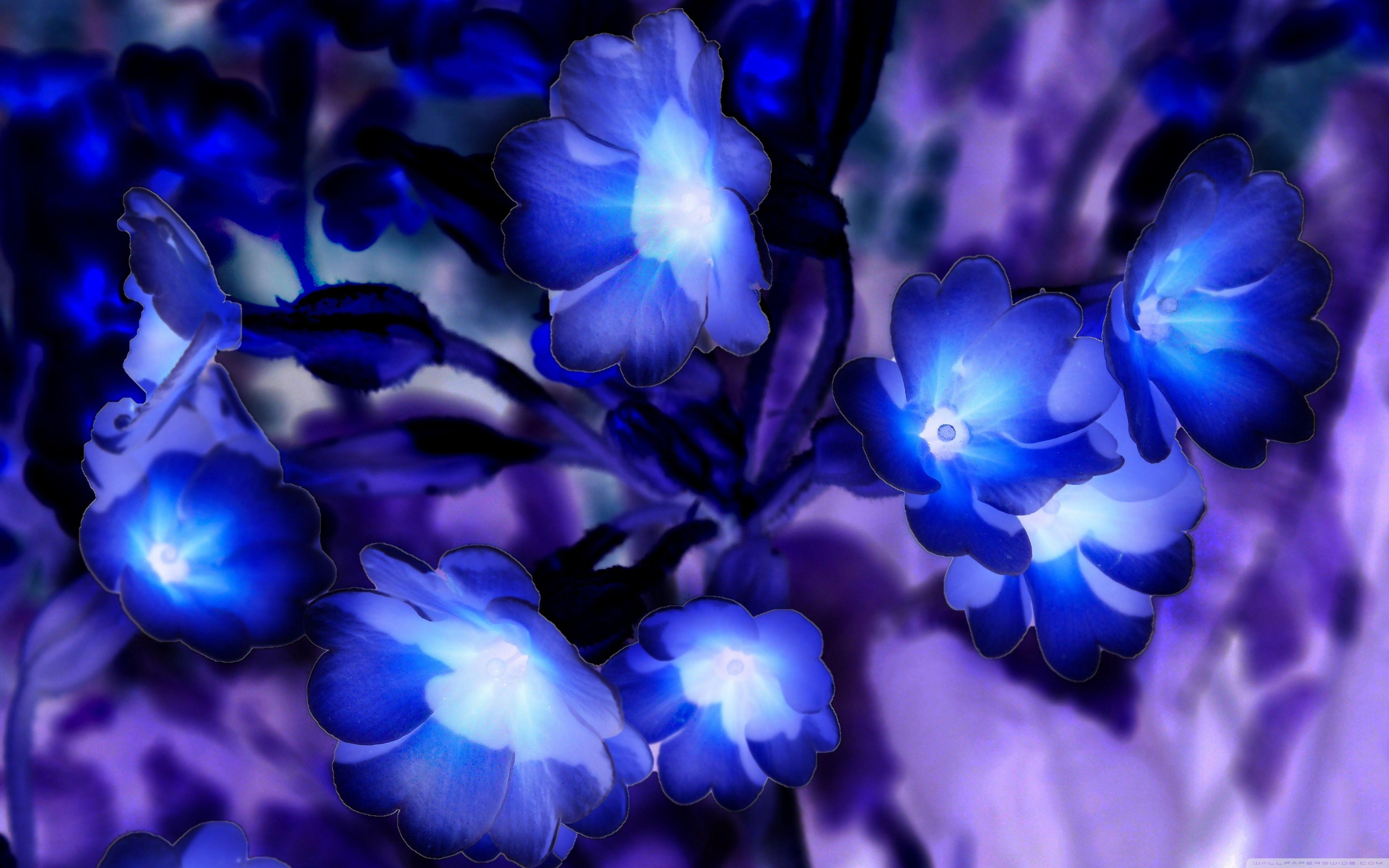 3840x2400 Glowing Flowers inspired by Avatar Ultra HD Desktop Background