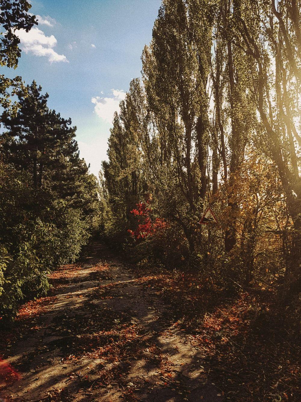 1000x1333 Free Chisinau Image