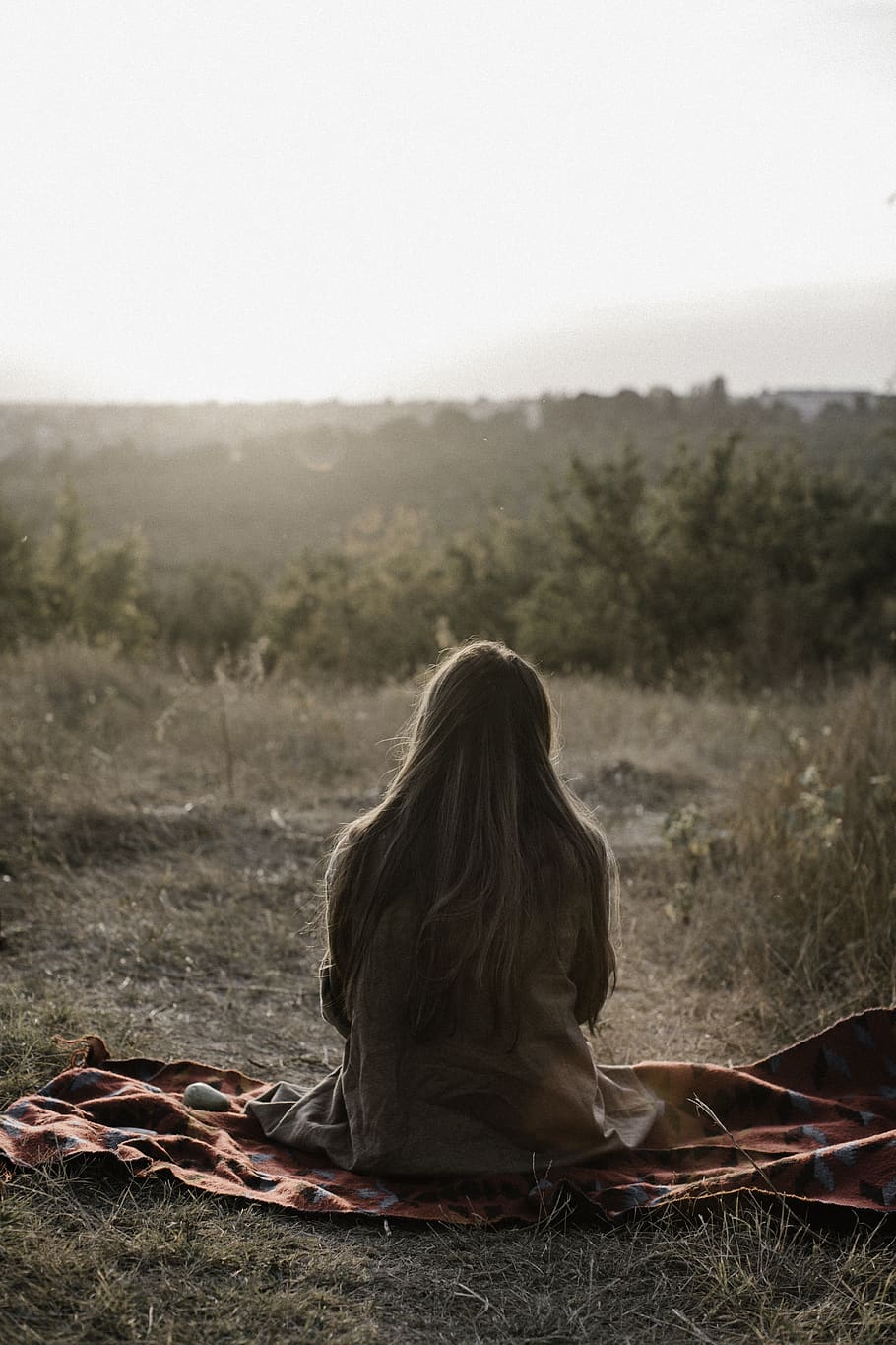910x1365 HD wallpaper: moldova, chisinau, sun, forest, sunset, weekend