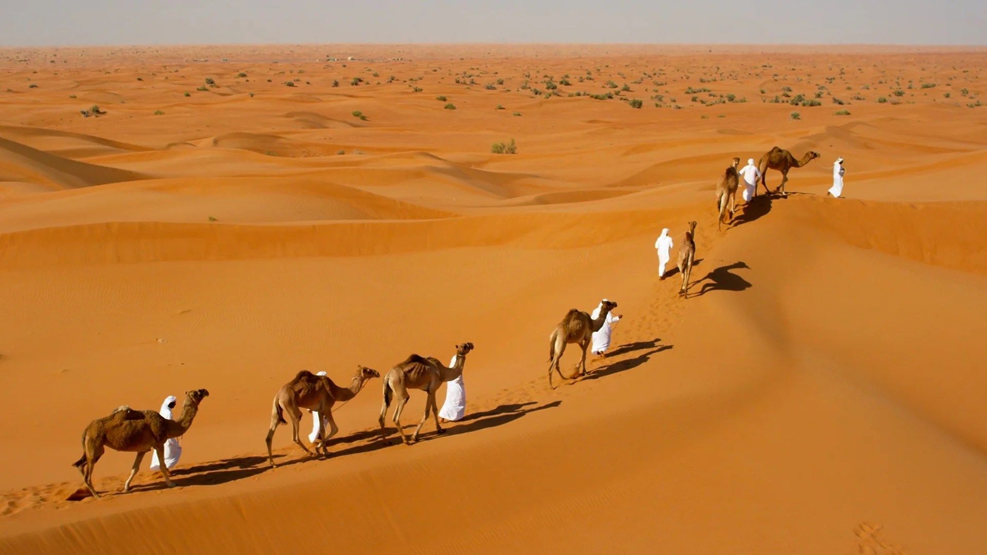 1920x1080 The Bedouin People Drive Thru History : Ends of the Earth