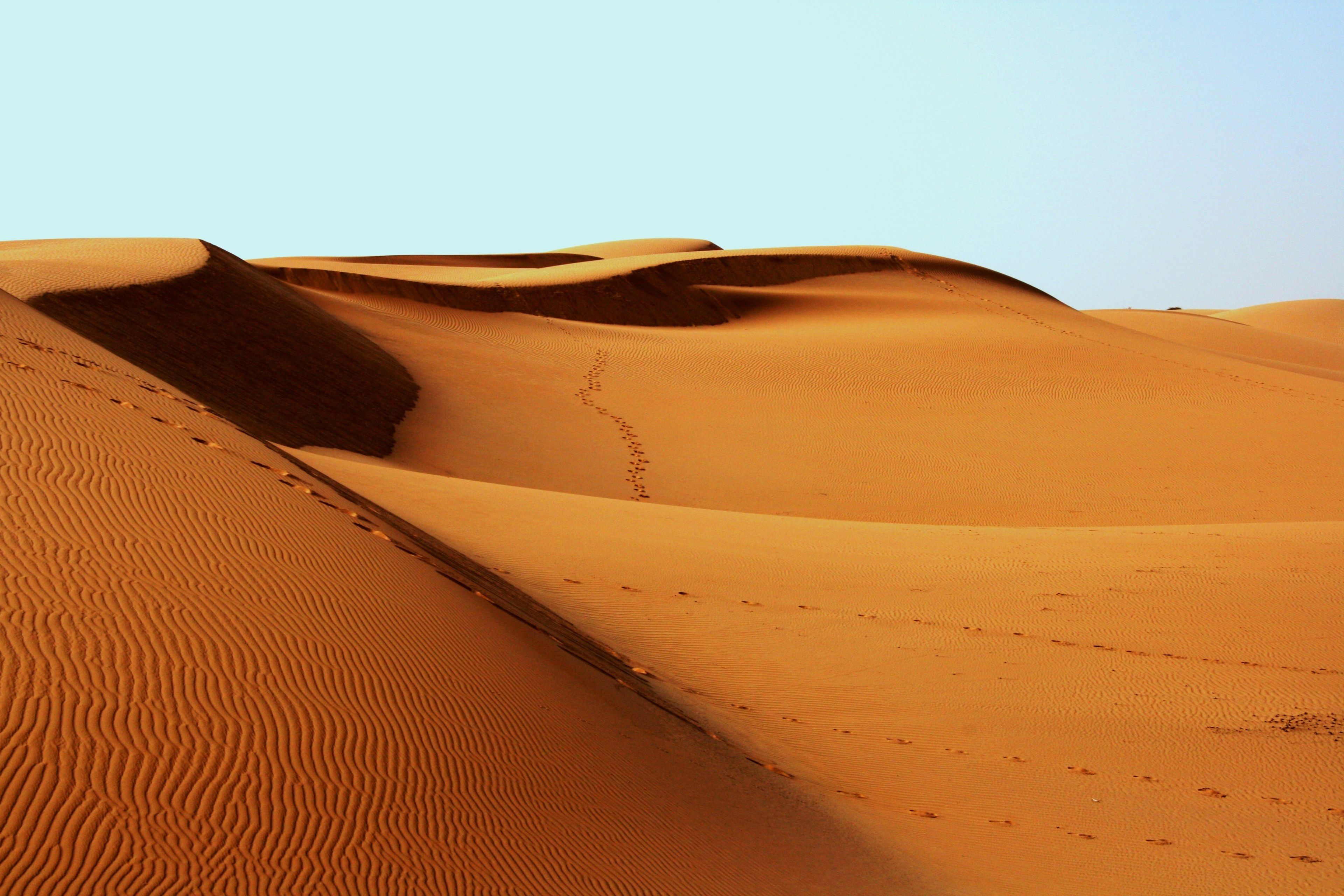 3840x2560 desert africa bedouin footprints sand 4k HD Wallpaper