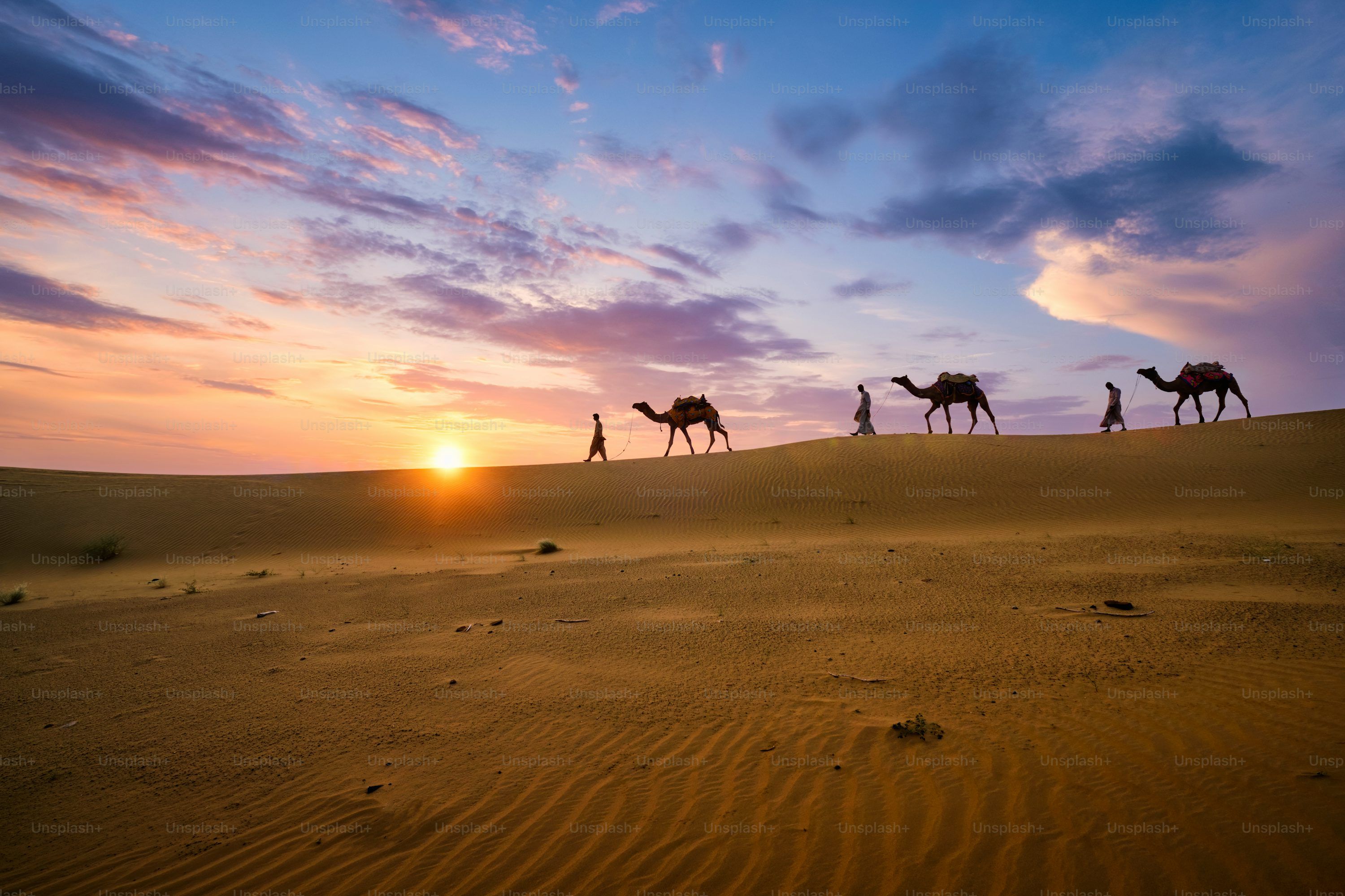3000x2000 Indian cameleers (camel driver) bedouin with camel silhouettes in sand dunes of Thar desert on sunset. Caravan in Rajasthan travel tourism background safari adventure. Jaisalmer, Rajasthan, India photo