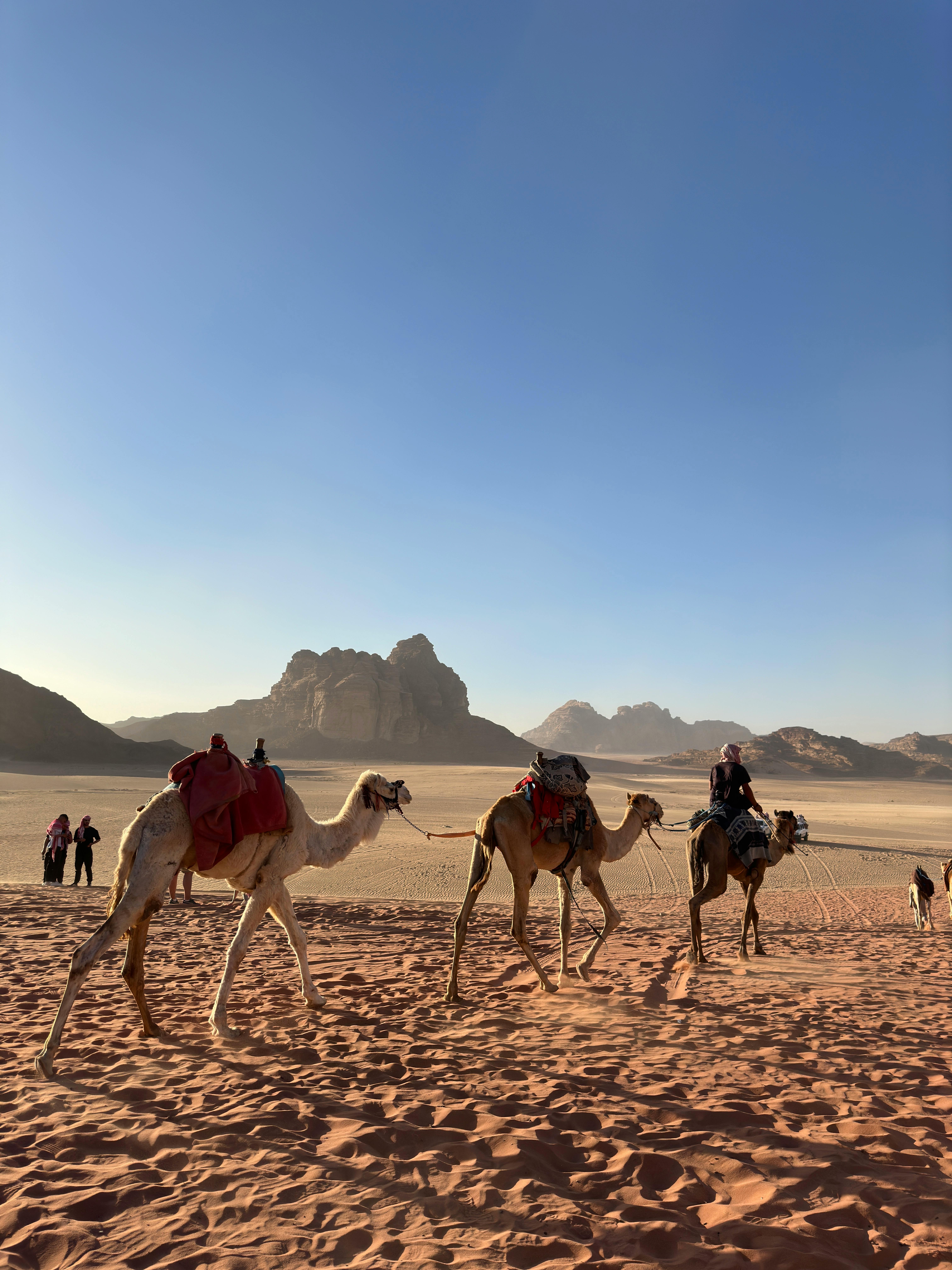 6048x8064 Bedouin Photo, Download The BEST Free Bedouin & HD Image