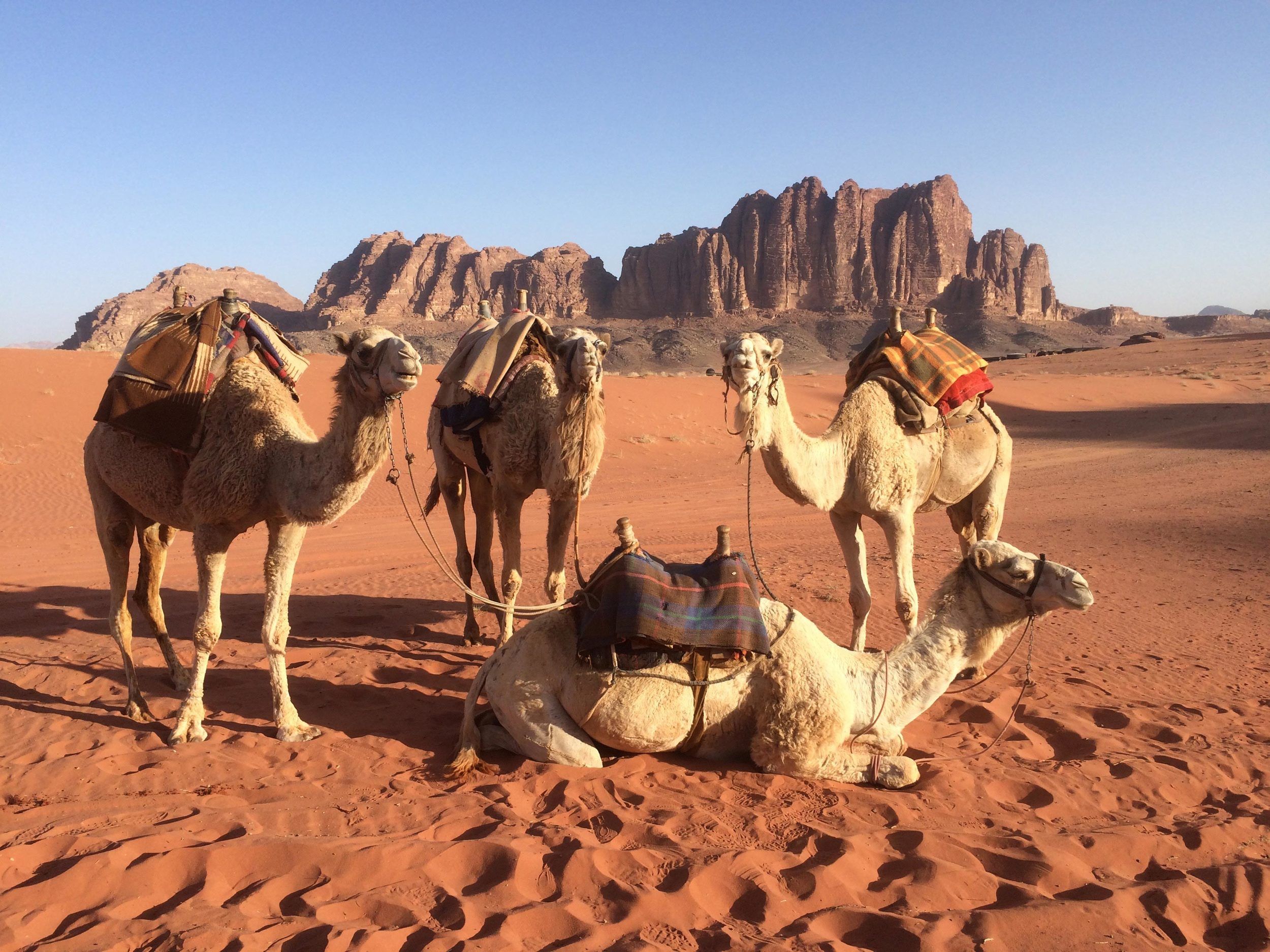 2500x1875 THISWORLDEXISTS's Desert Bedouin: Beautiful Lands, Beautiful People