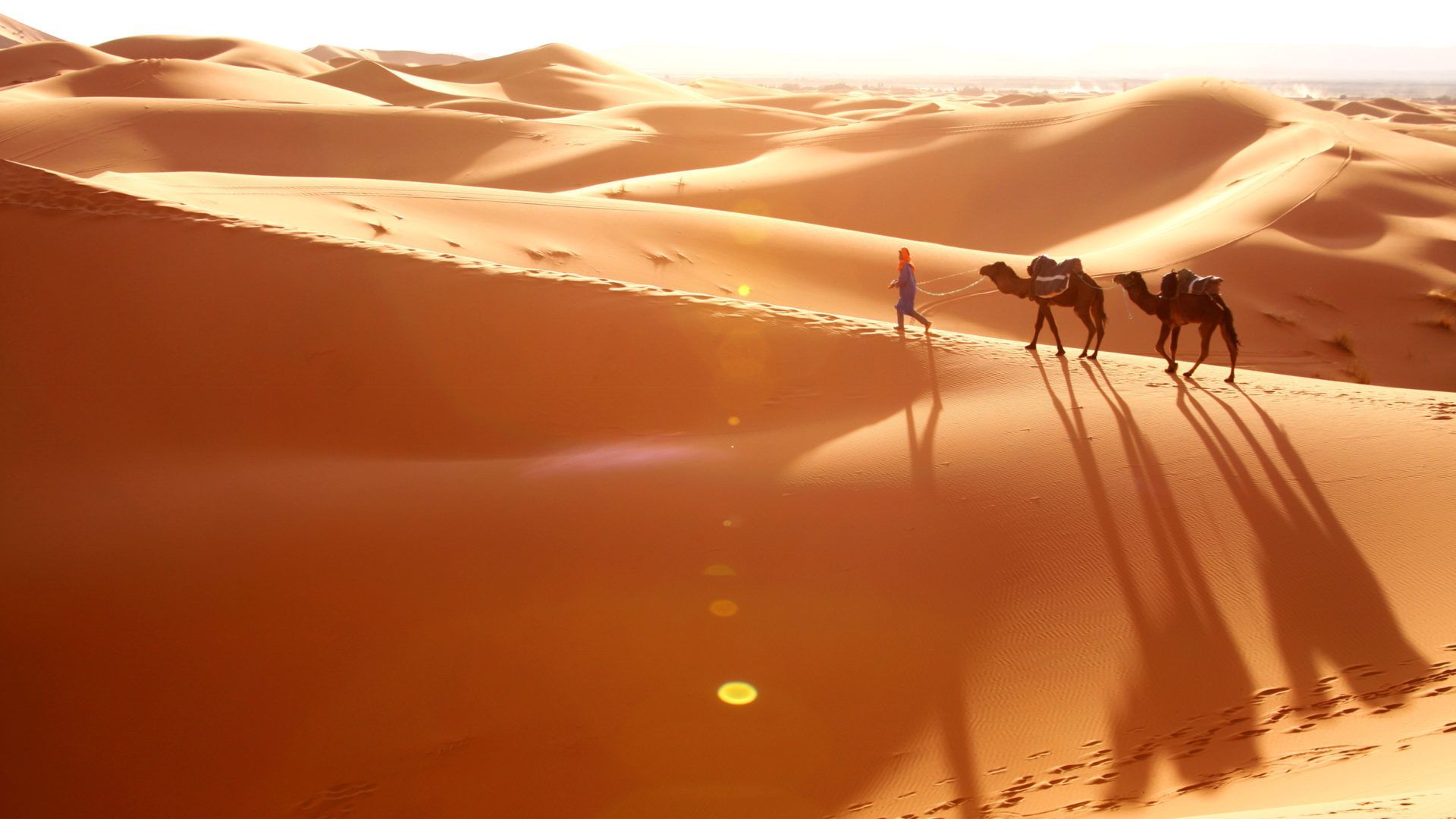 1920x1080 Arabia Bedouin Camels Walking Down Desert