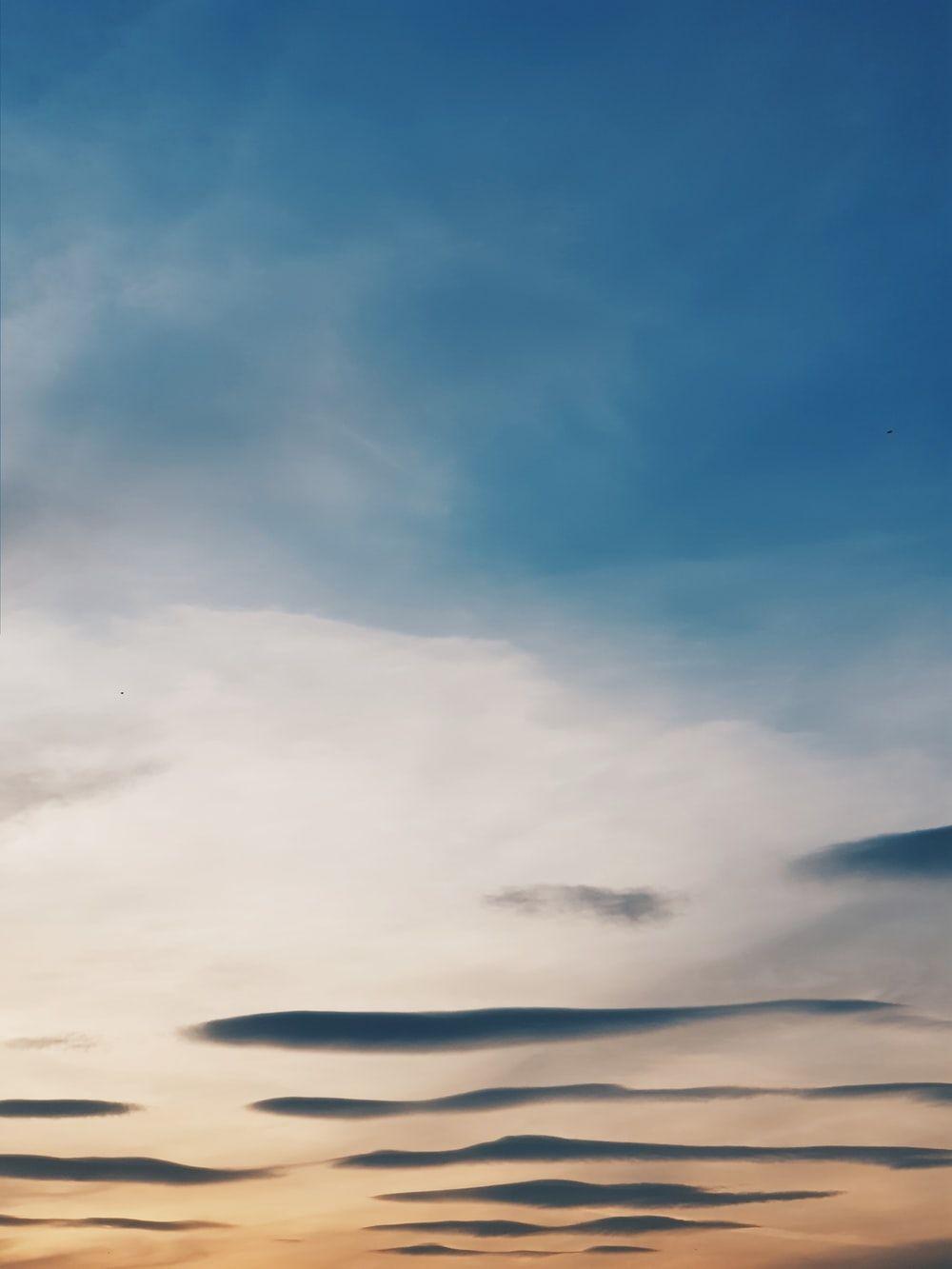 1000x1333 невеска Skopje, Macedonia (Fyrom) Picture. Download Free