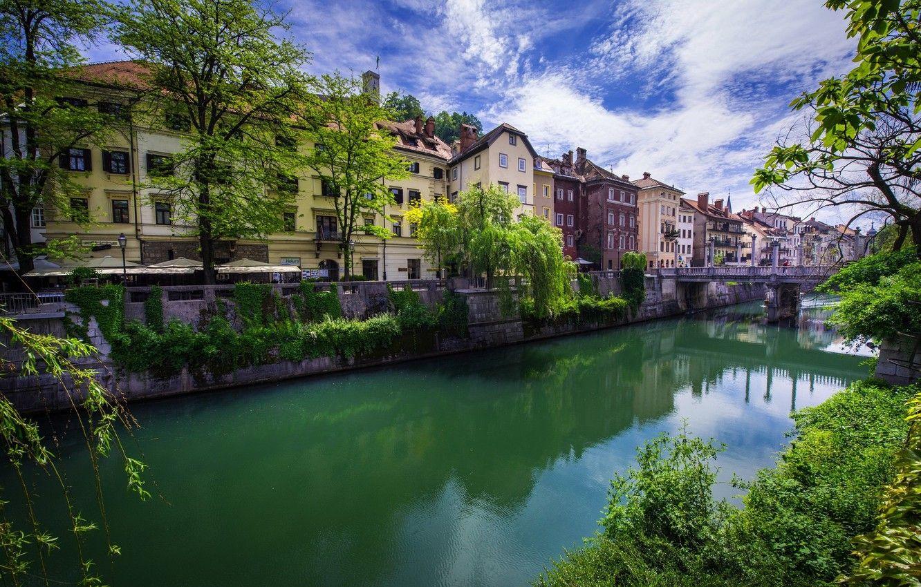 1332x850 Wallpaper trees, bridge, river, building, Ljubljana