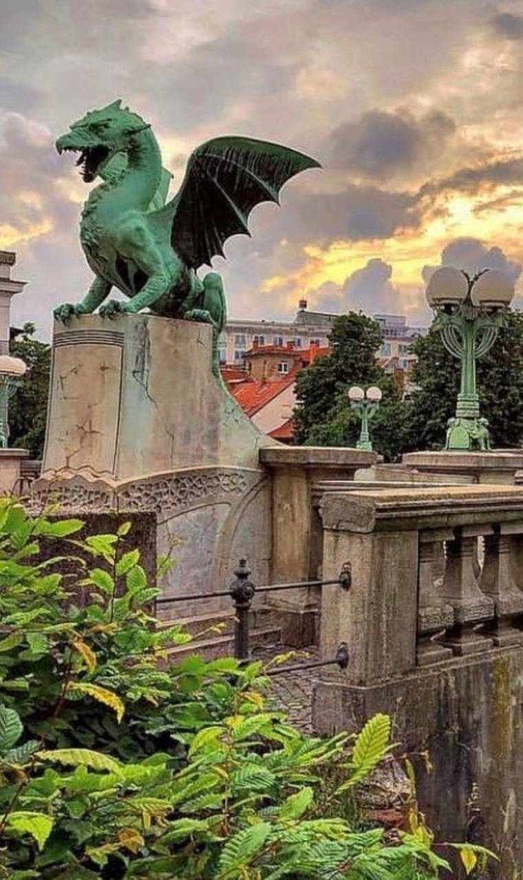 761x1280 ljubljana dragon wallpaper