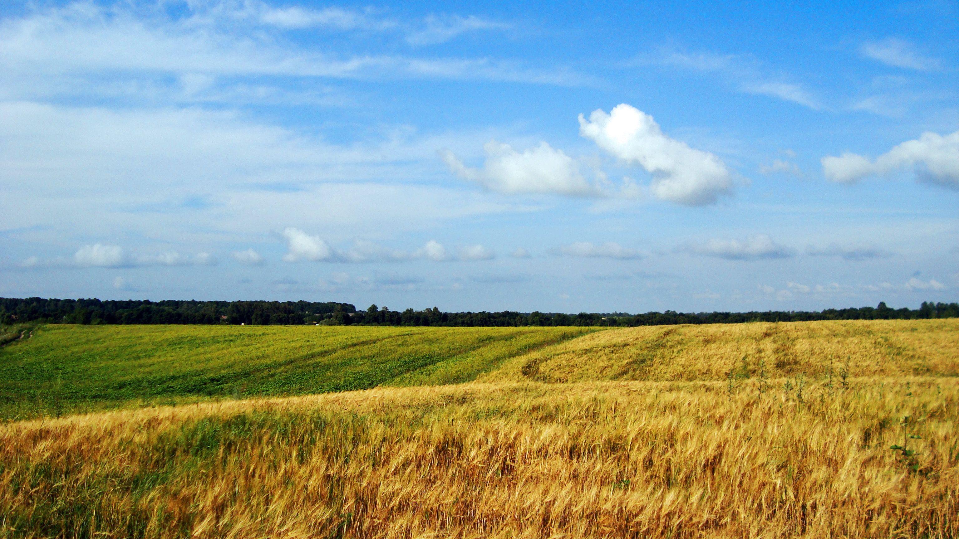 3072x1728 Ukraine Wallpaper PC #C63RN66