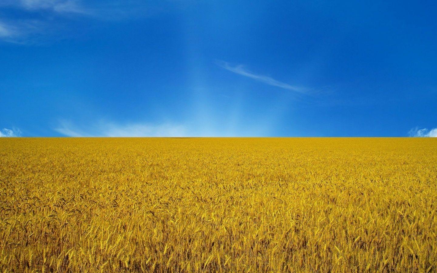 1440x900 Ukraine Flag. Ukraine, flag, sky, flag 110612 zeusbox com