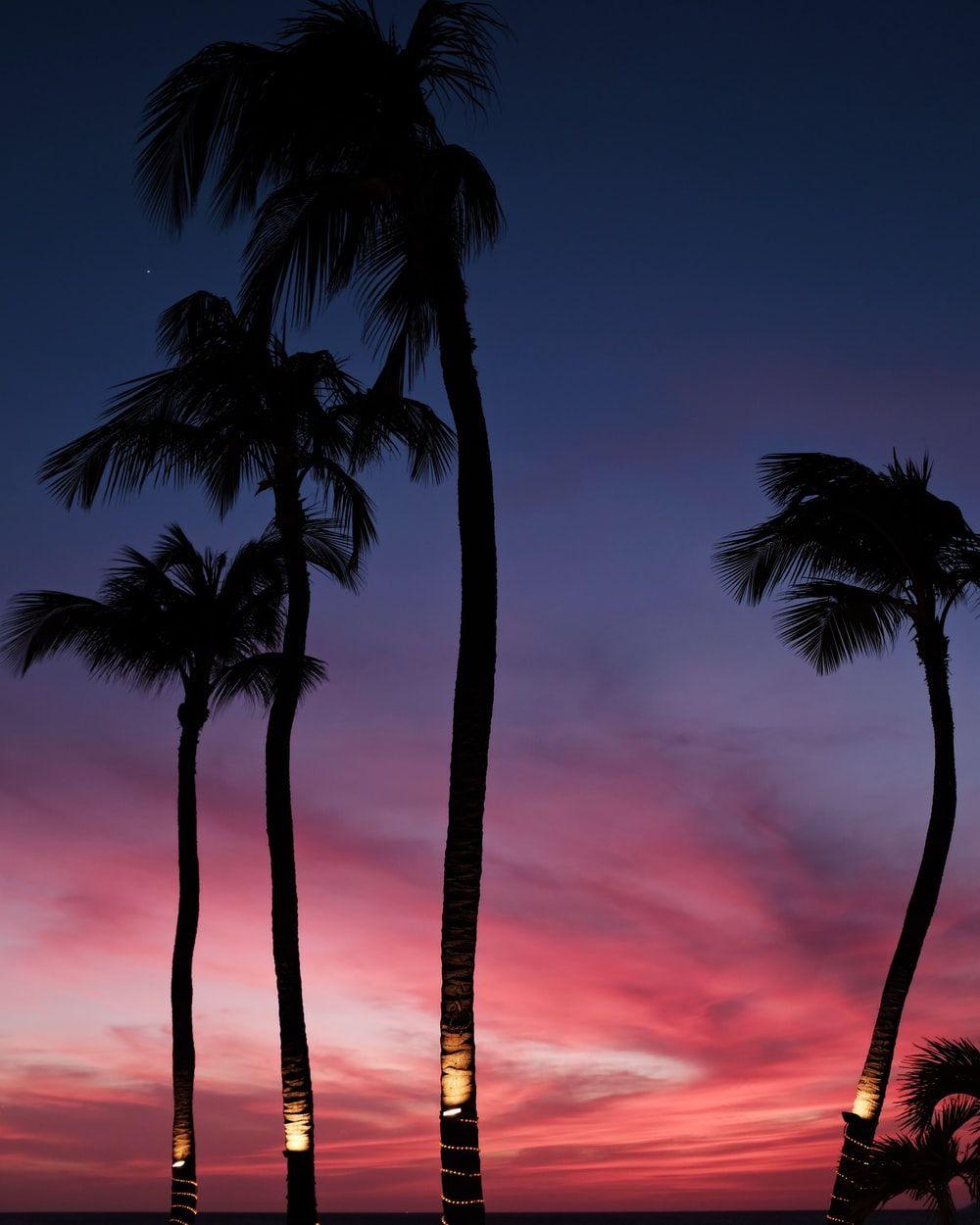 1000x1250 Oranjestad, Aruba Picture. Download Free Image