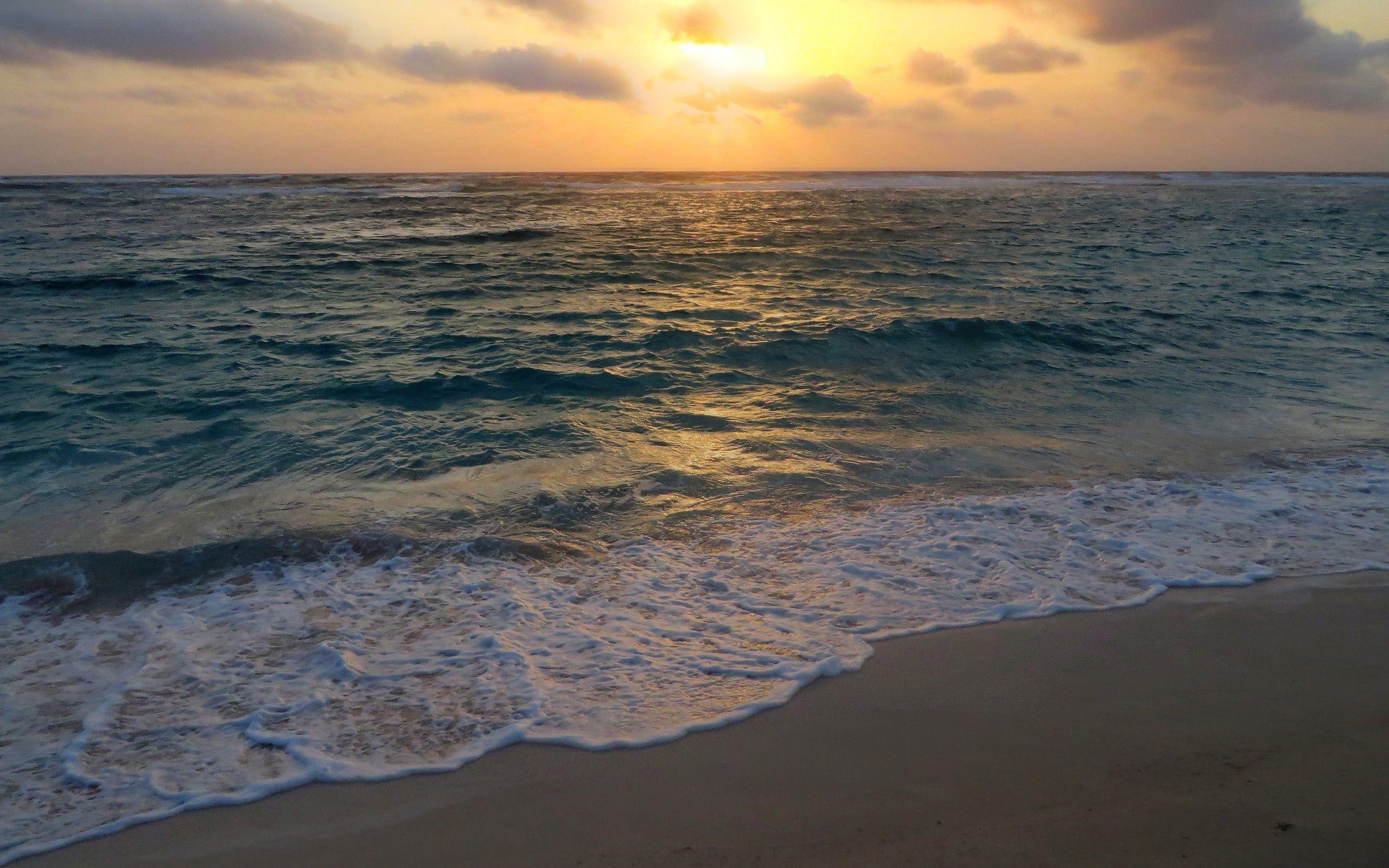 2560x1600 Seawave under golden hour, Aruba, beach .