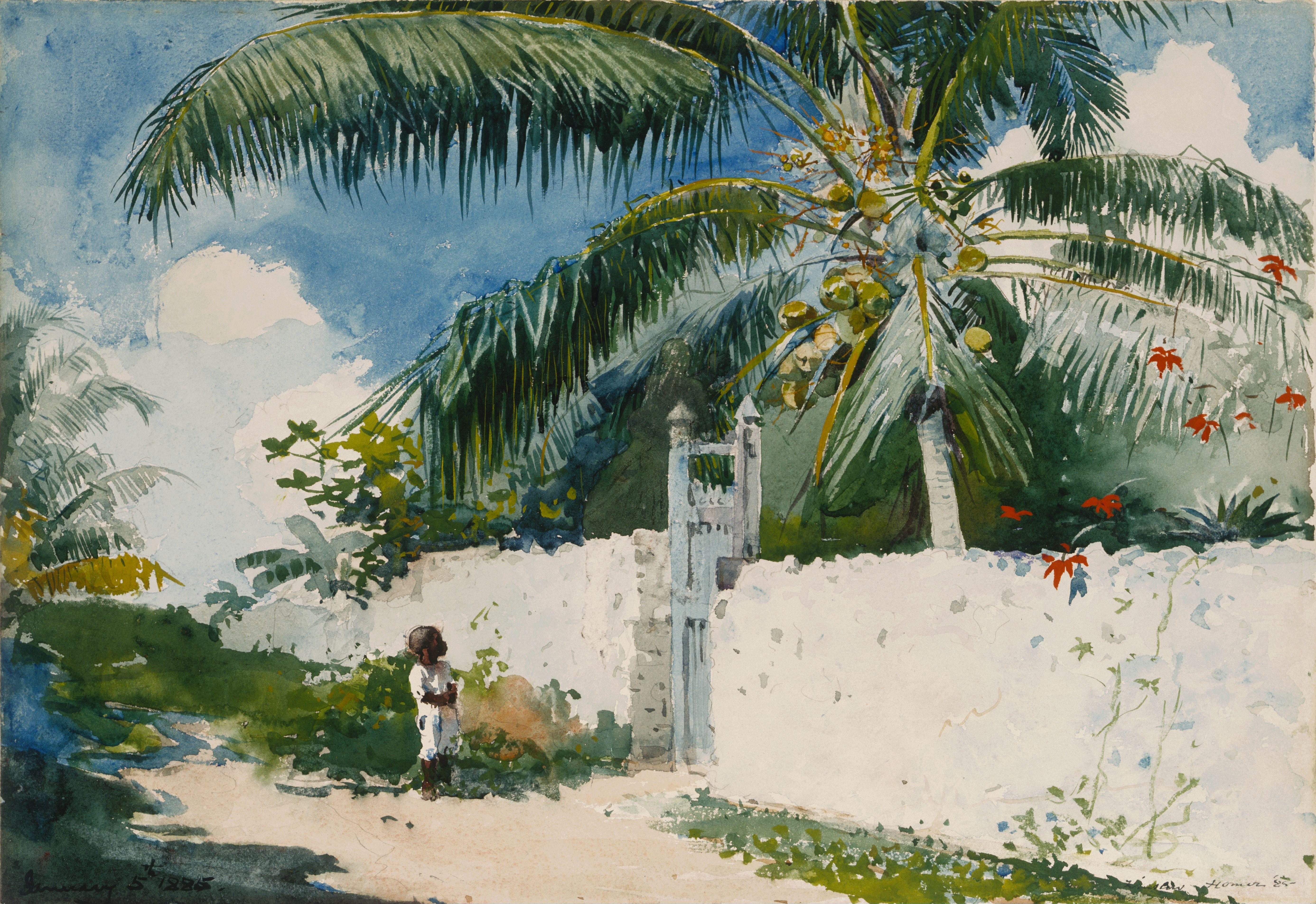 5546x3809 Winslow Homer Garden in Nassau