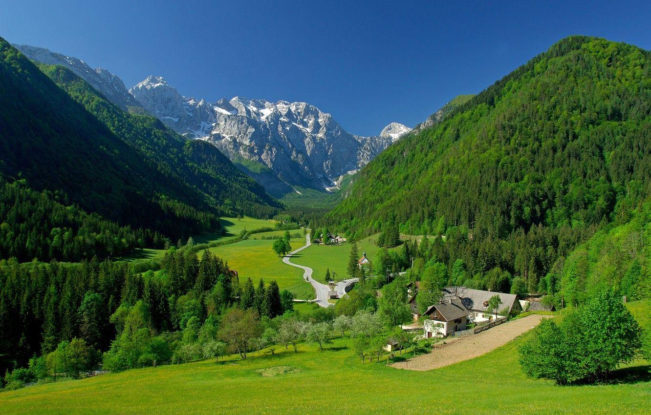 1332x850 Wallpaper greens, the sky, grass, trees, mountains, home, spring