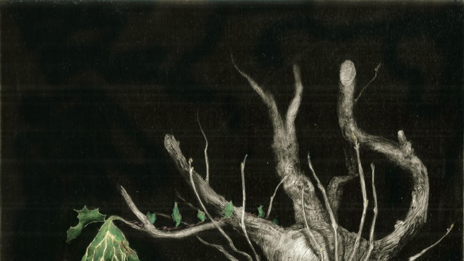 1920x1080 