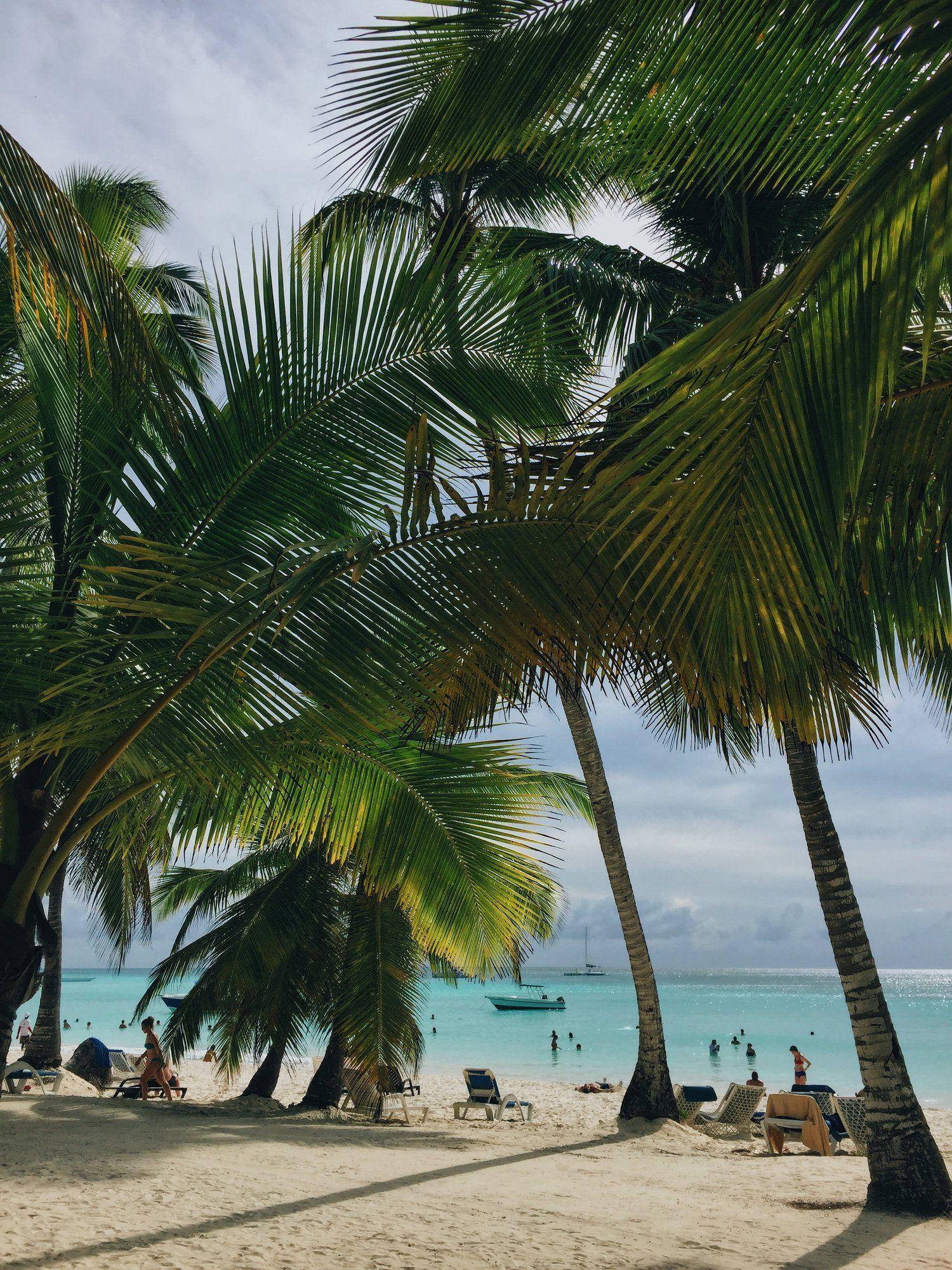 1500x2000 Punta Cana to Santo Domingo iPhone Wallpaper. Saona island